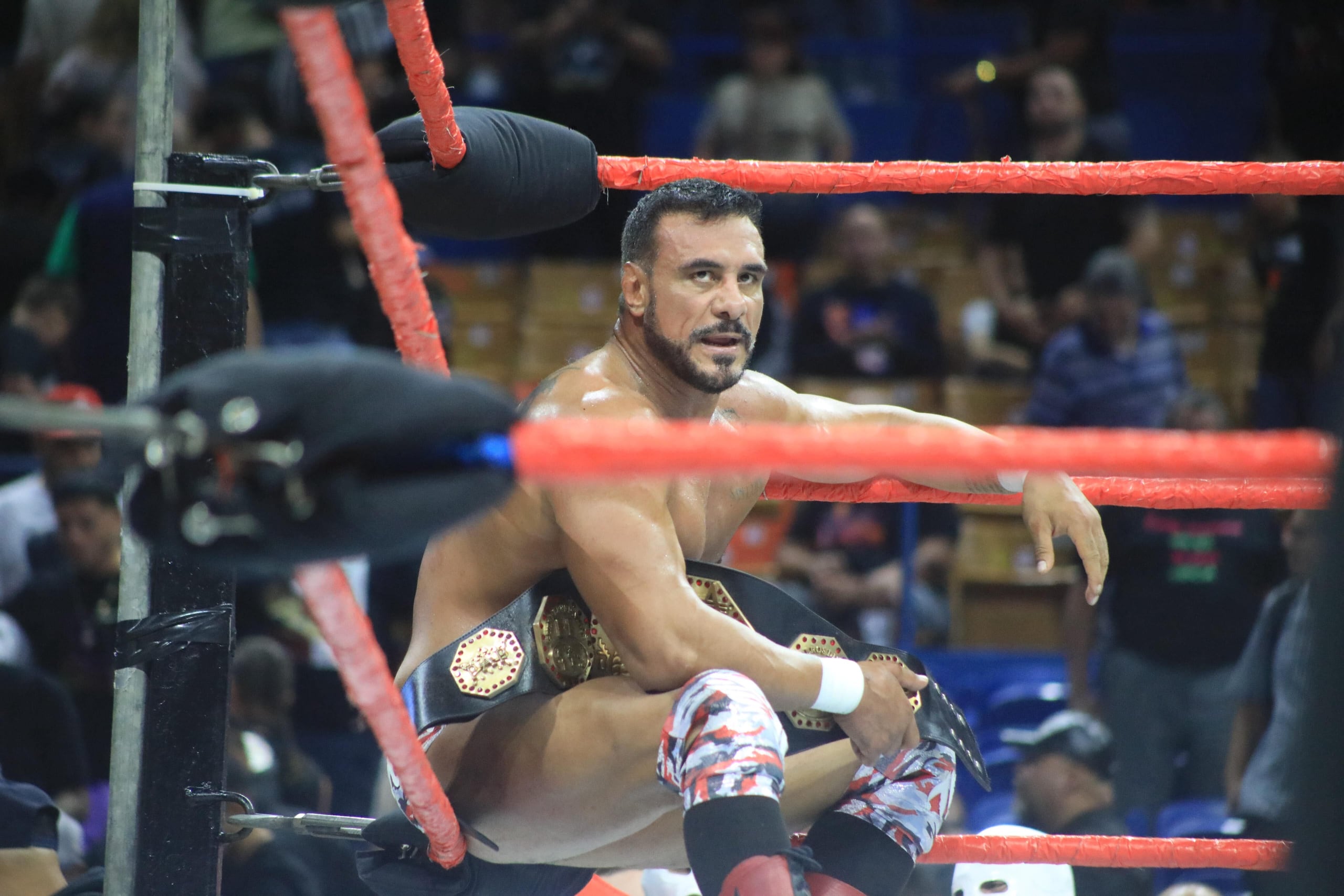 Alberto "El Patrón" en una lucha celebrada en el Coliseo Rubén Rodríguez.