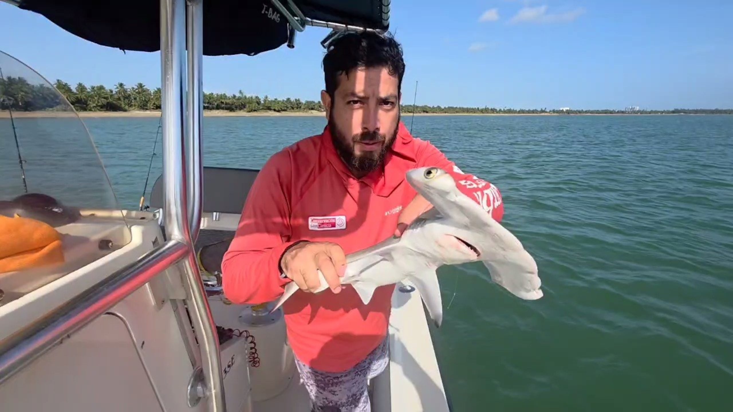 La organización Conservación ConCiencia, que dirige Raimundo Espinoza, trabaja de la mano con pescadores de la región para documentar lo que allí se ha encontrado.
