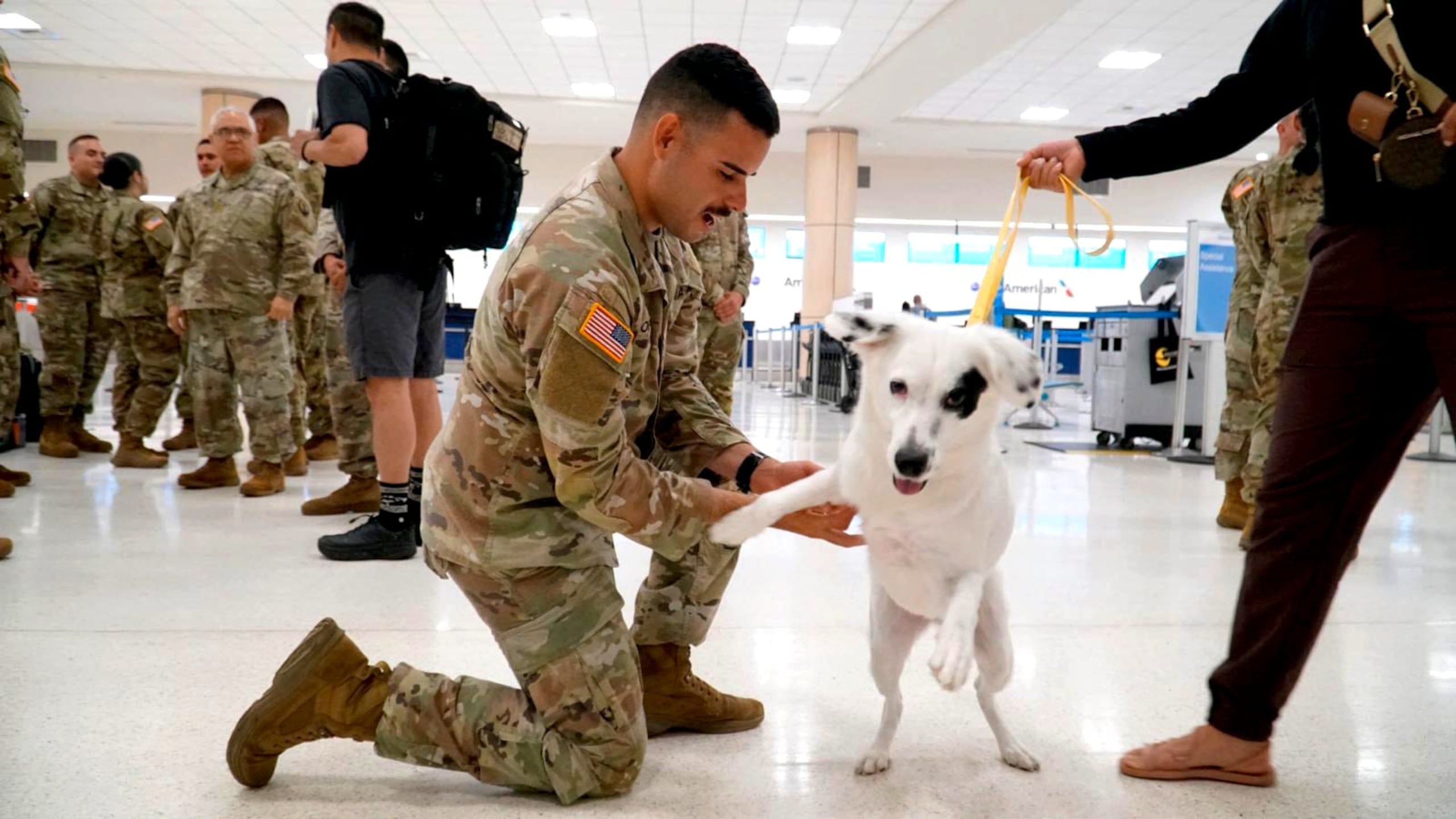 Durante la despedida, los soldados fueron acompañados por sus familiares y amistades, entre los cuales destacó Kaluah, la mascota del teniente Anthony López, quien partió en su primera movilización.