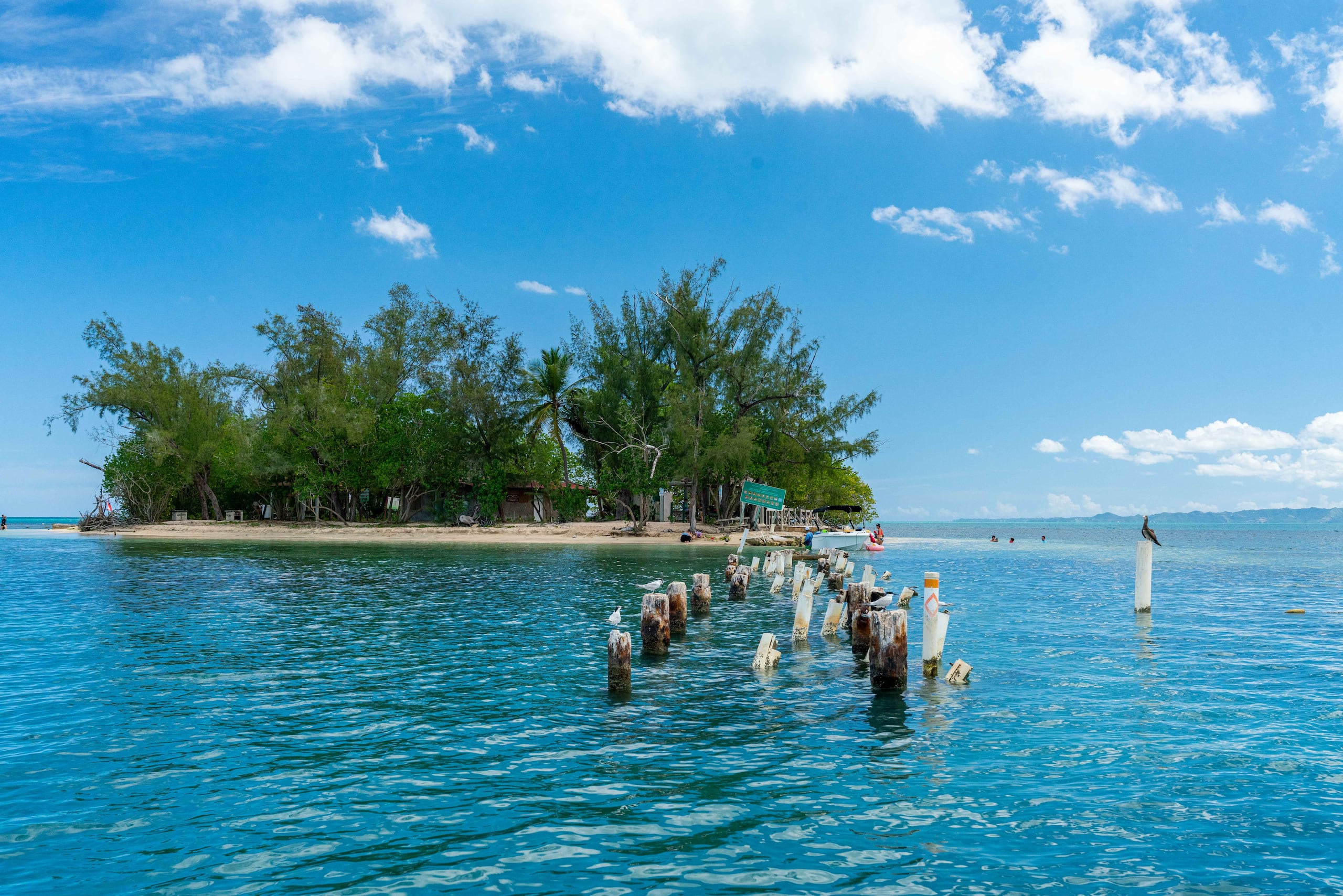 La zona sigue siendo de un alto valor natural, que sirve de hogar a un sinnúmero de especies.