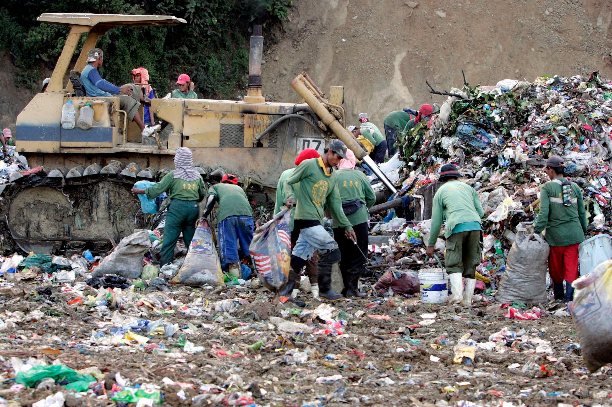Los vertederos de basura actúan como una interfaz entre los humanos, los animales y el medioambiente, de la que podrían surgir las enfermedades infecciosas emergentes.