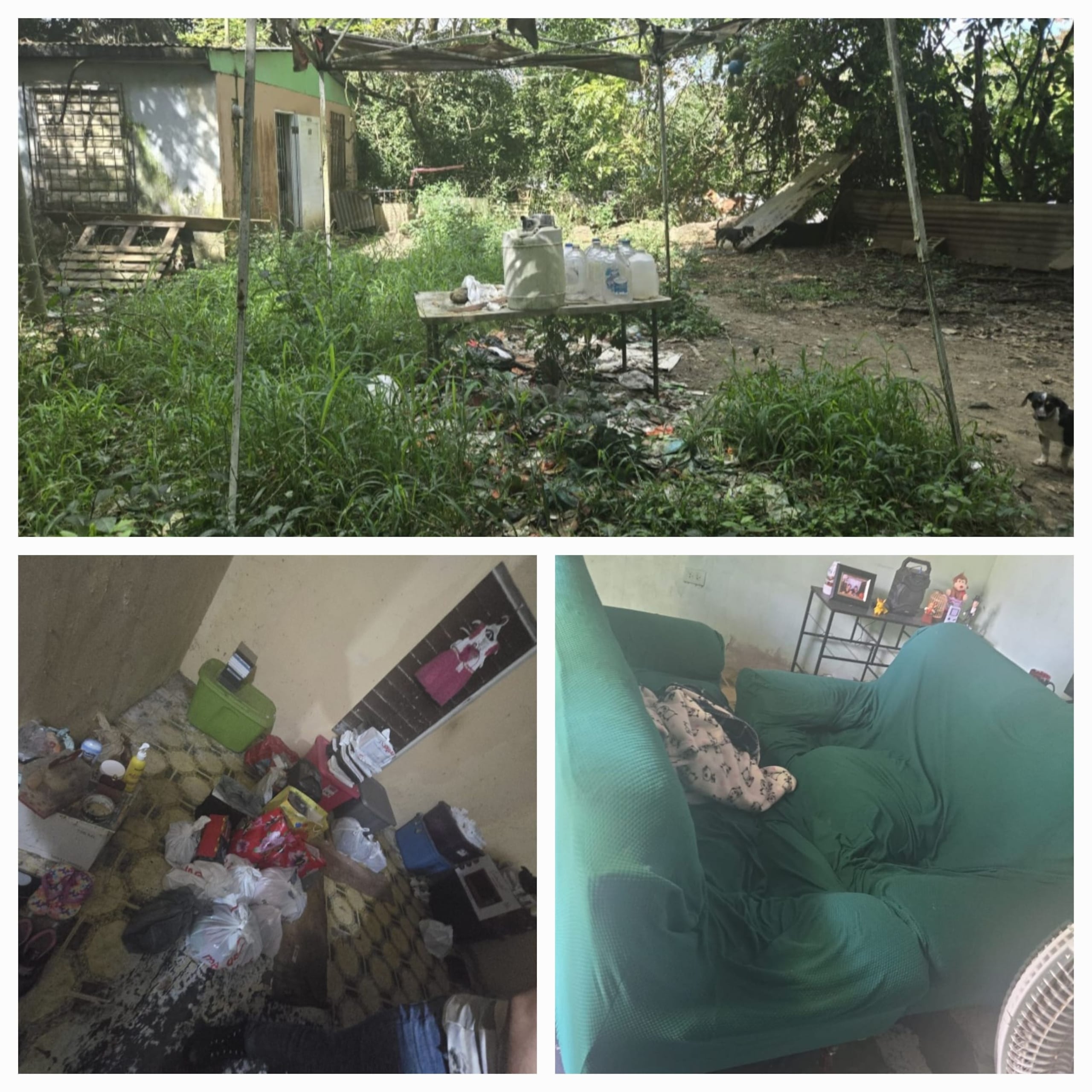 Los cargos contra los padres de una niña con autismo por mantenerla viviendo en condiciones deplorables fueron desestimados. (Archivo)