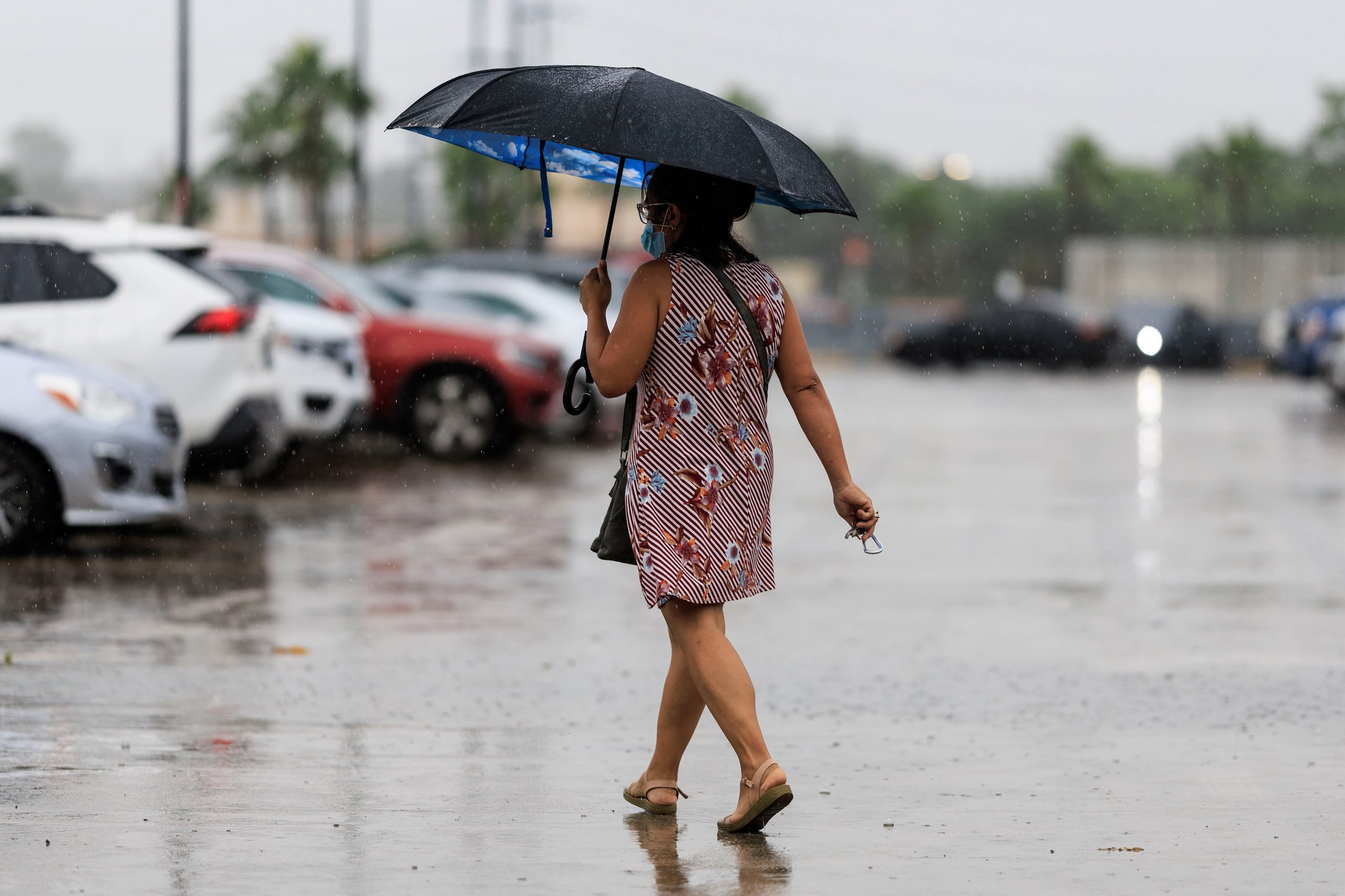 The rainfall pattern will be between rain and showers.