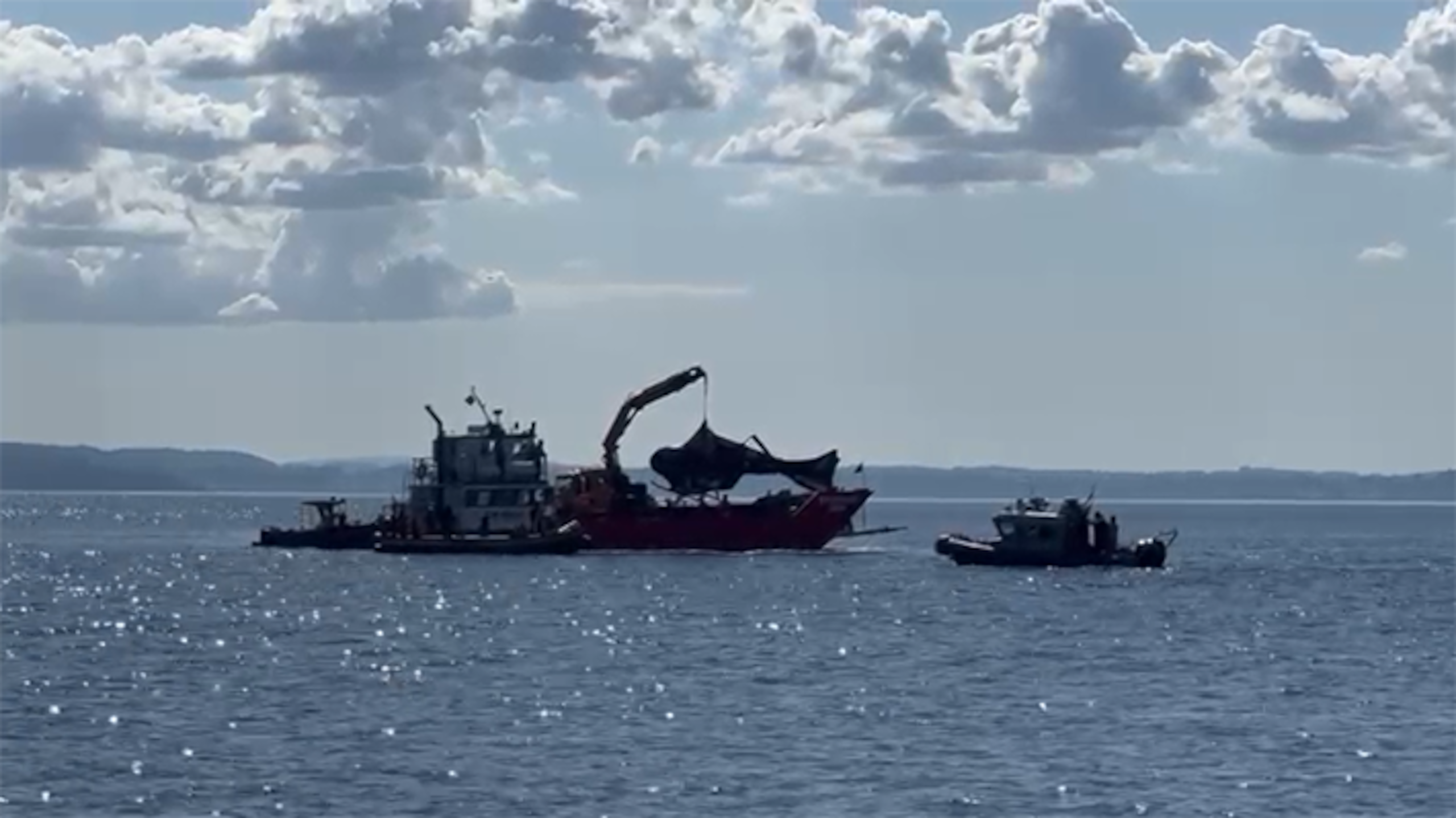 La aeronave será entregada a la Dirección General de Aeronáutica chilena, quienes se encargarán del embalaje y su traslado vía terrestre, como evidencia de la investigación.