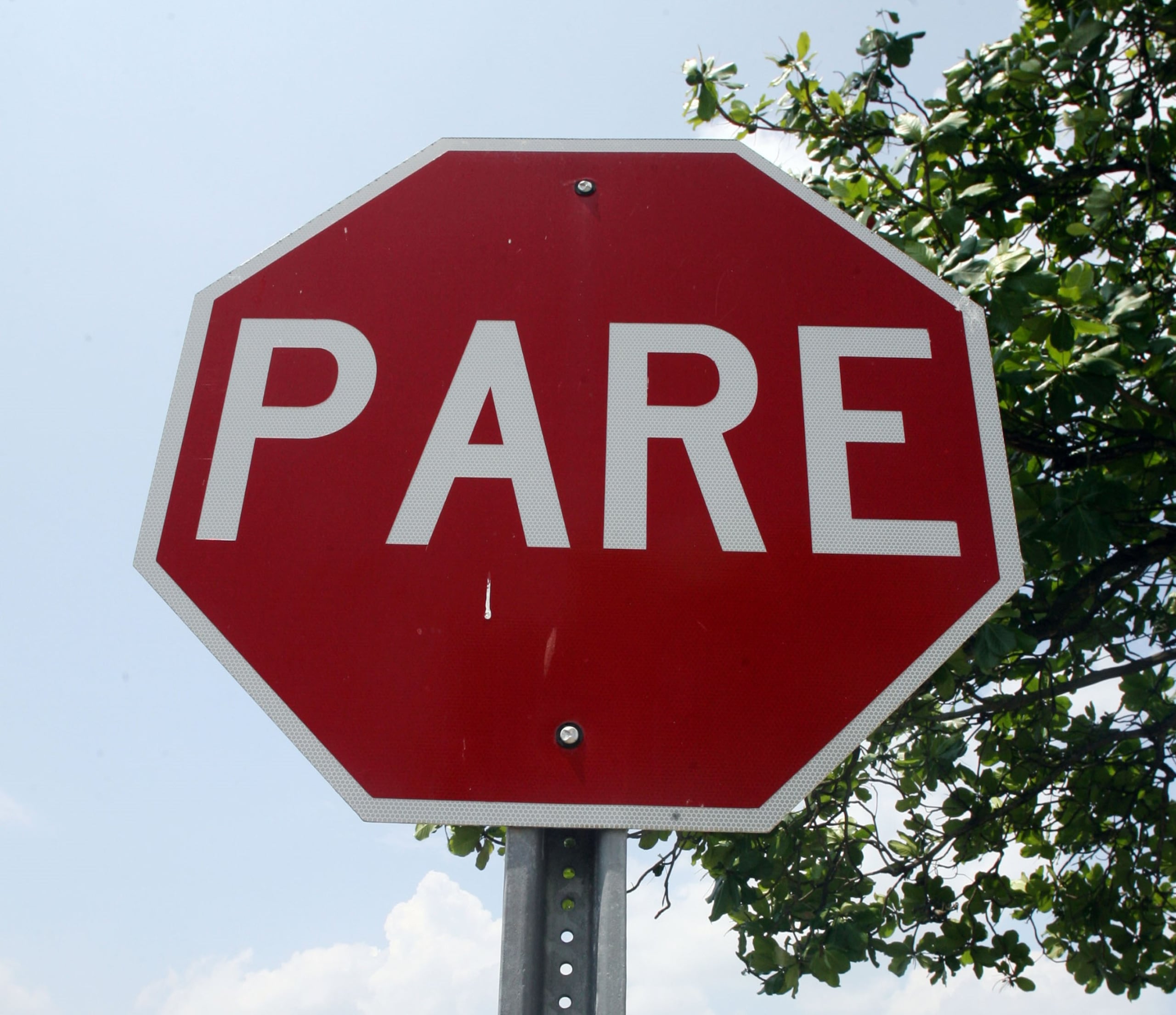 Se recomienda además precaución a los conductores que transitan la zona.