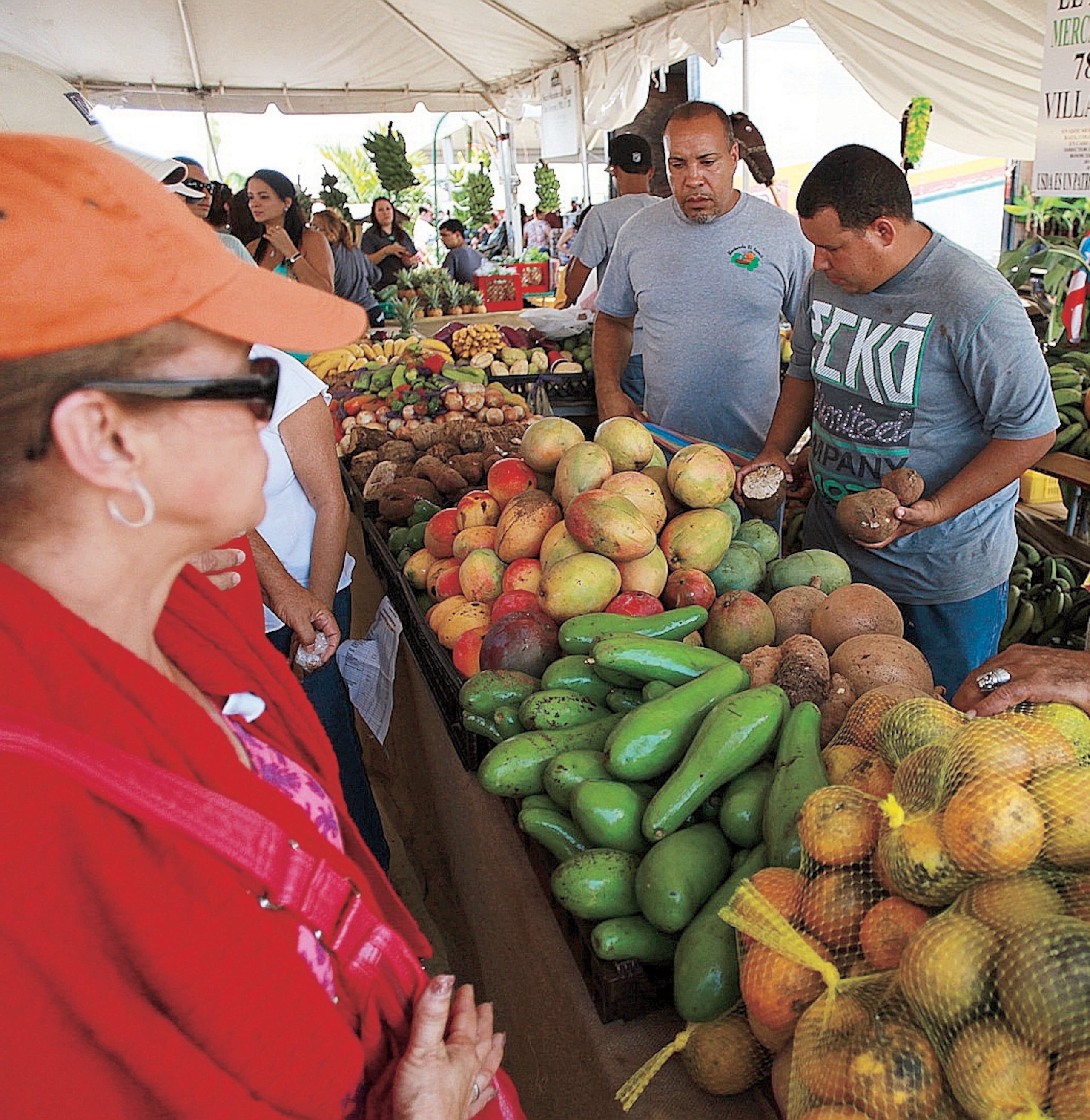 La feria se realiza en la finca Western Hay, ubicada en la carretera #305 de Lajas.