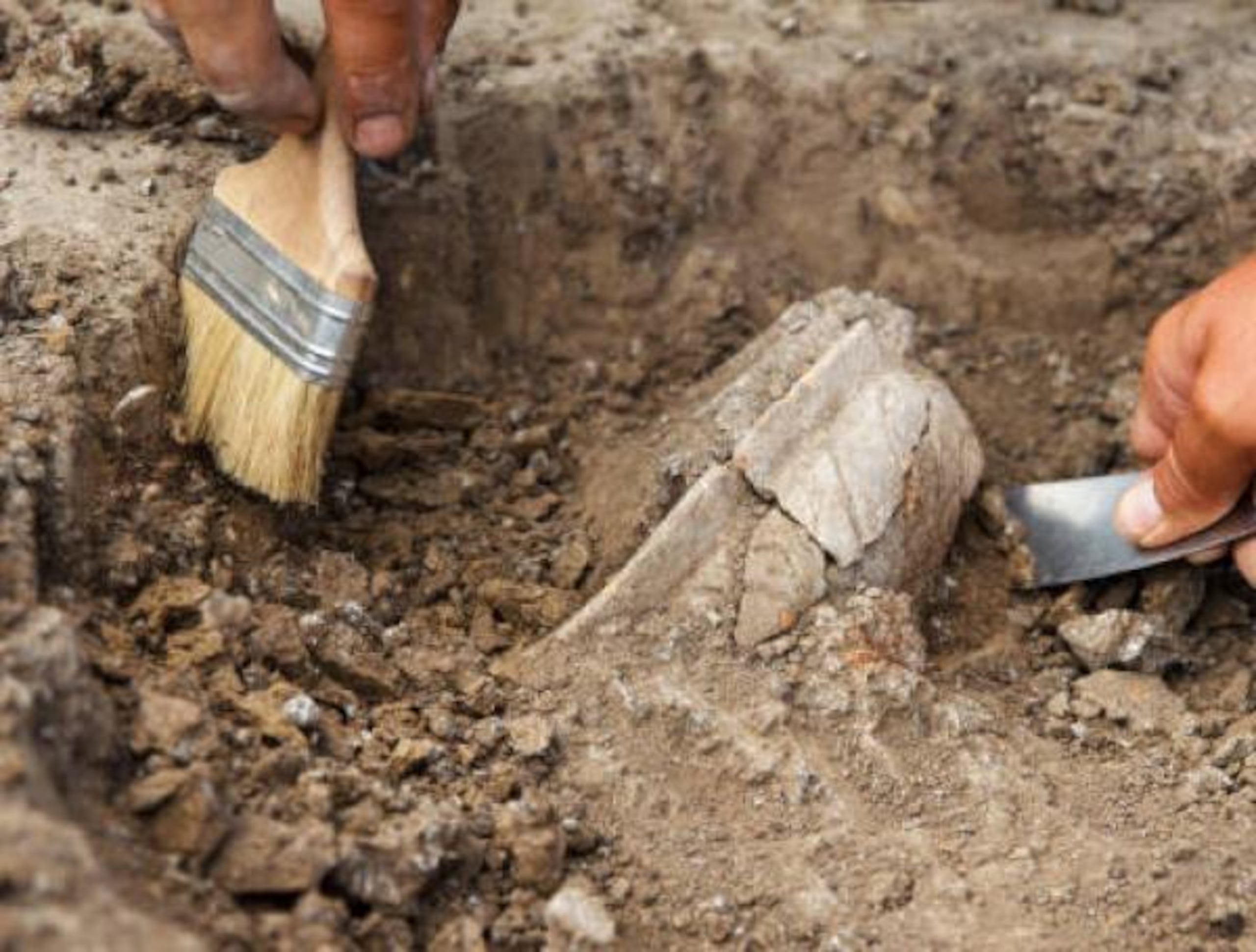El mensaje fue encontrado debajo del piso.