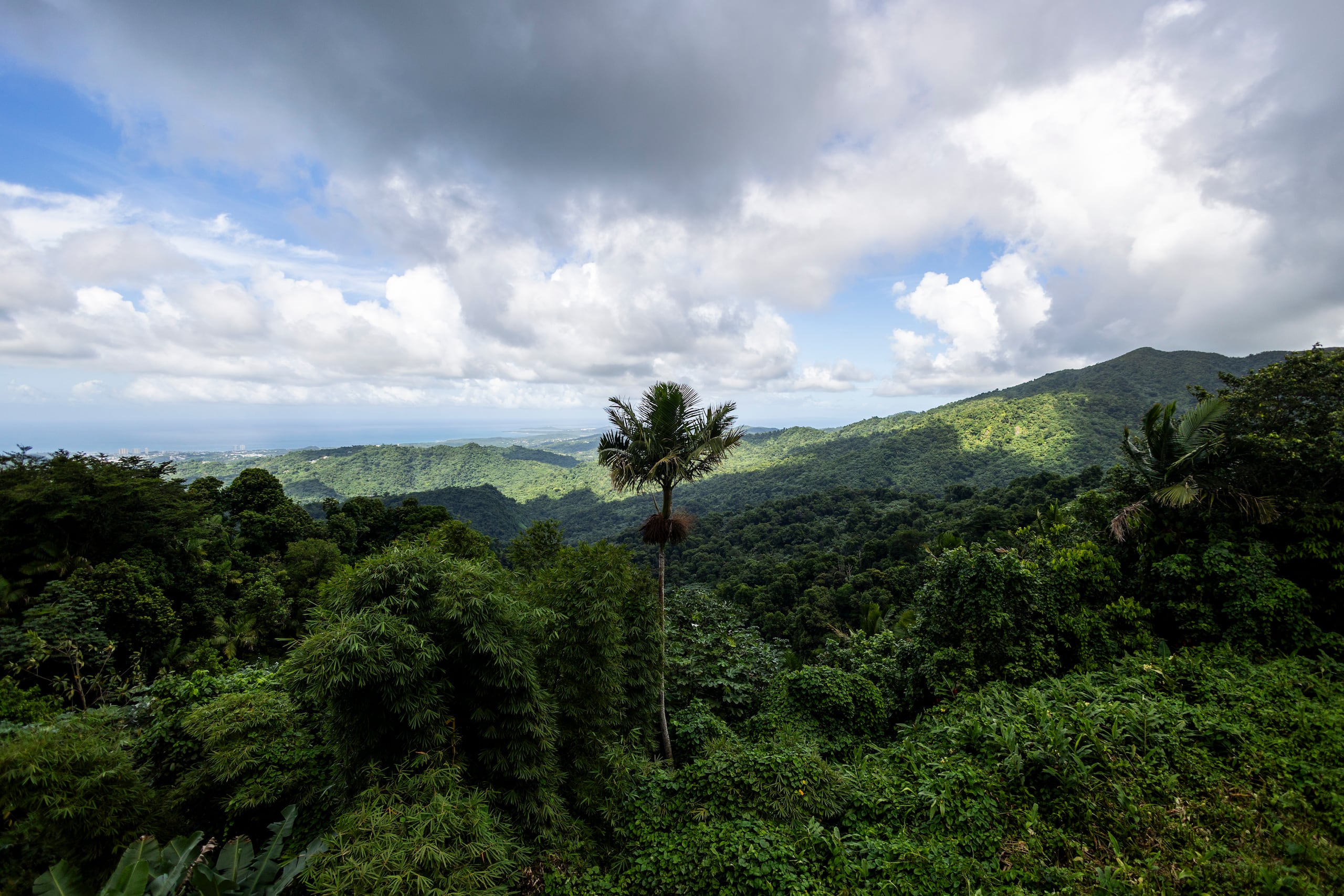 Vista del Bosque Nacional El Yunque. (Archivo / GFR Media)