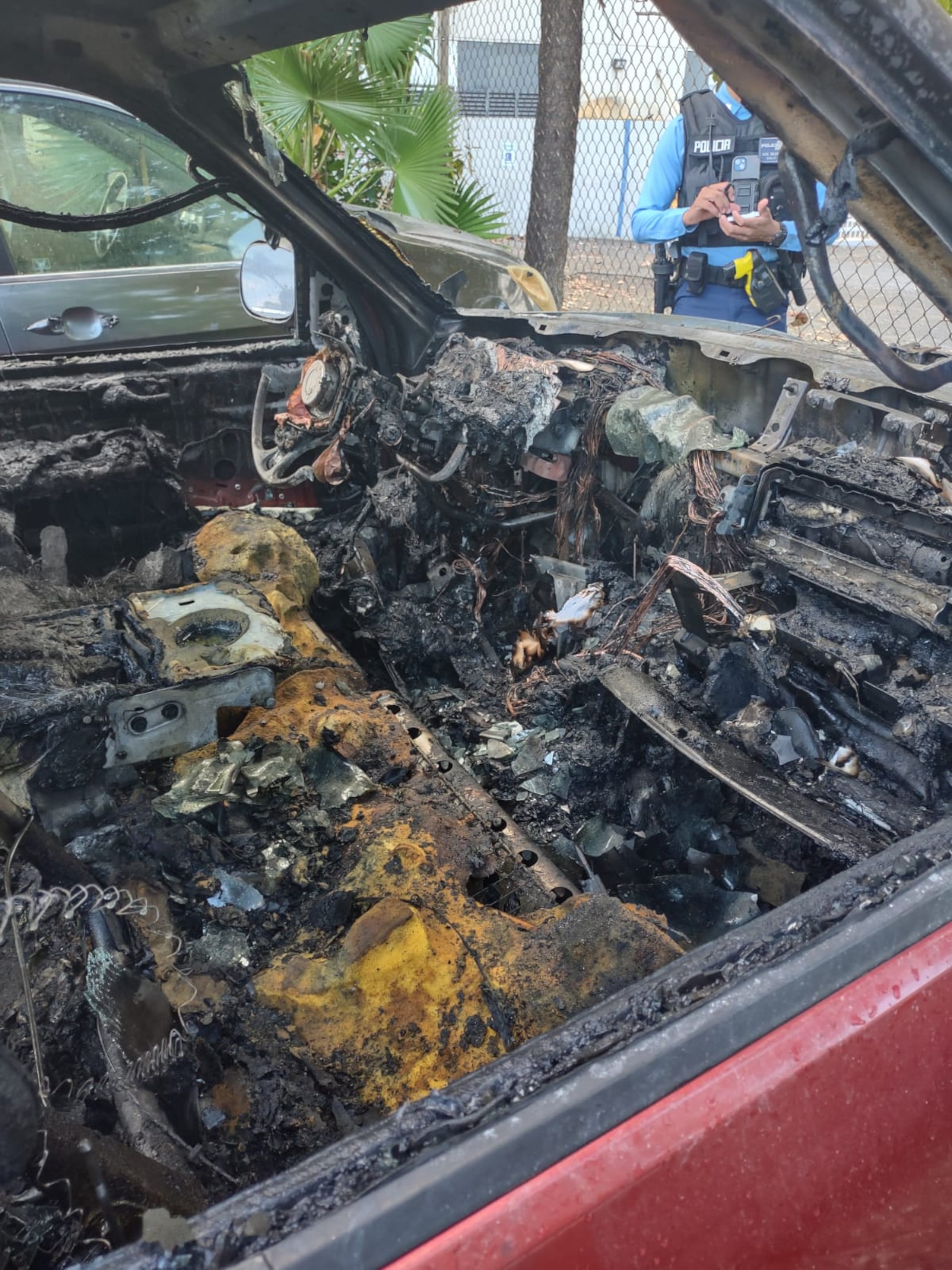 Camioneta Ford F-150 incendiada en el Paseo Covadonga, en San Juan.