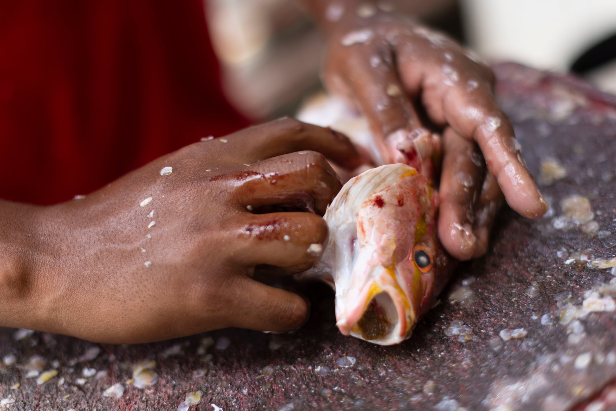 A los pescadores “se les hace muy difícil vender los pescados frescos, por los que tienen que venderlos frizados…".