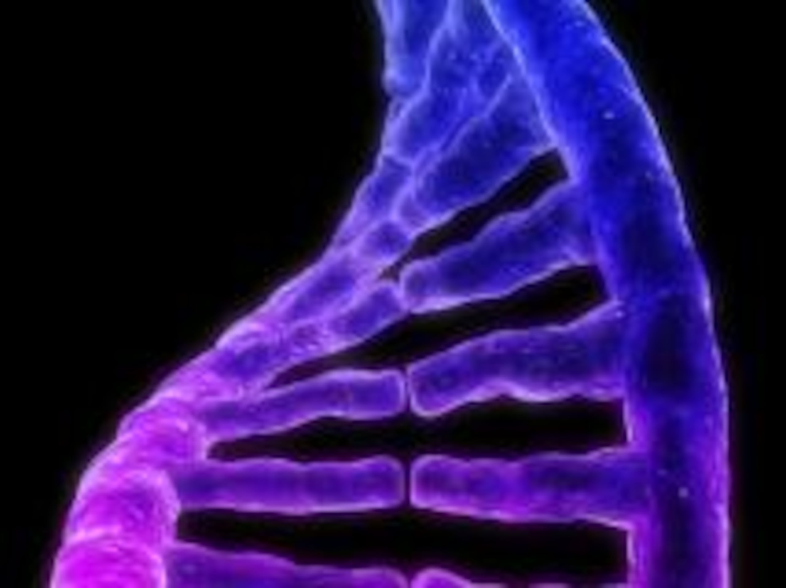 La empresa Othram dijo que utilizó pruebas forenses para construir un perfil de ADN, realizar investigaciones genealógicas y proporcionar nuevas pistas de investigación a la policía.