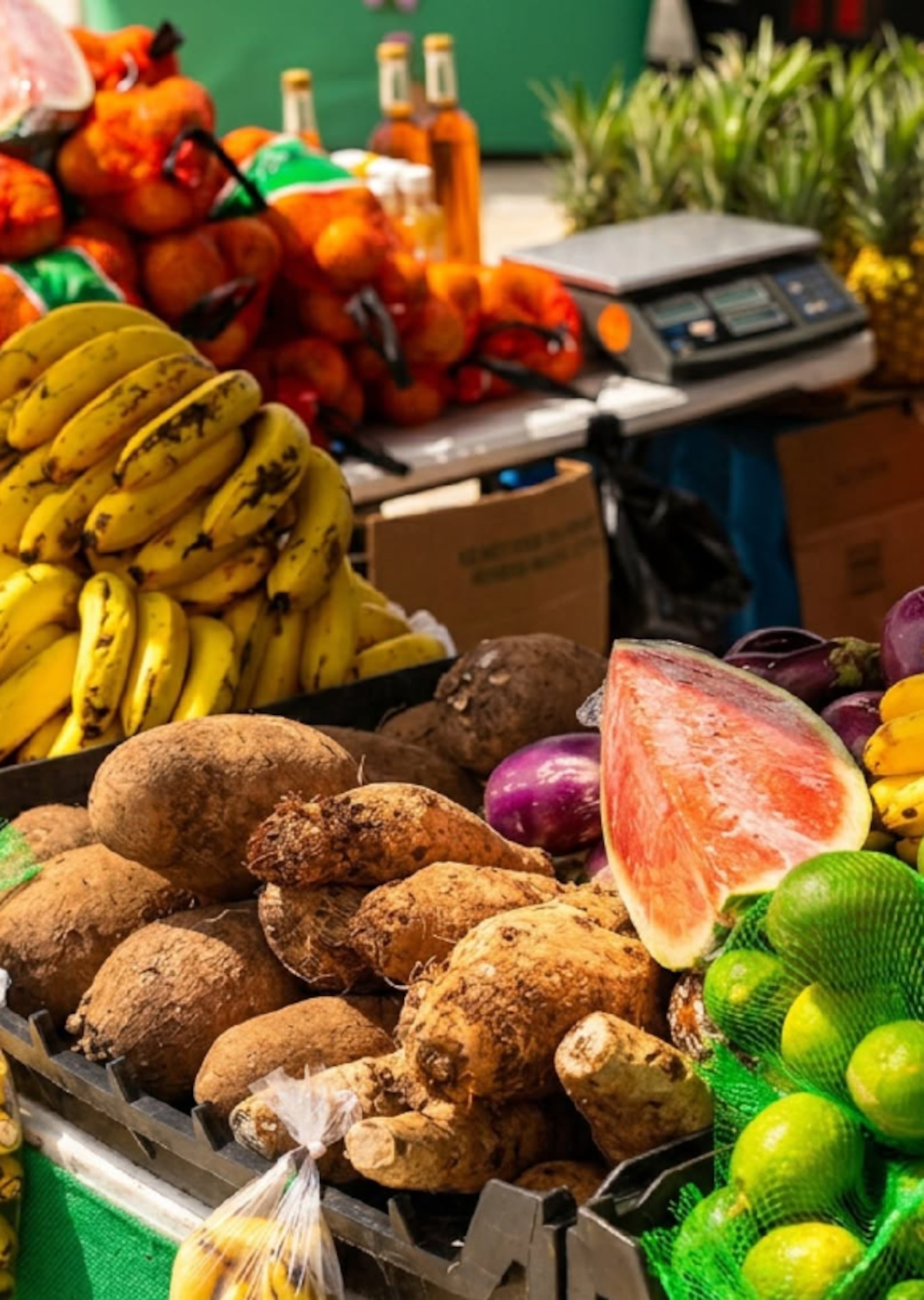 Más que un mercado agrícola, Aibonito Market busca convertirse en una experiencia comunitaria donde los visitantes puedan conocer directamente a quienes cultivan la tierra.