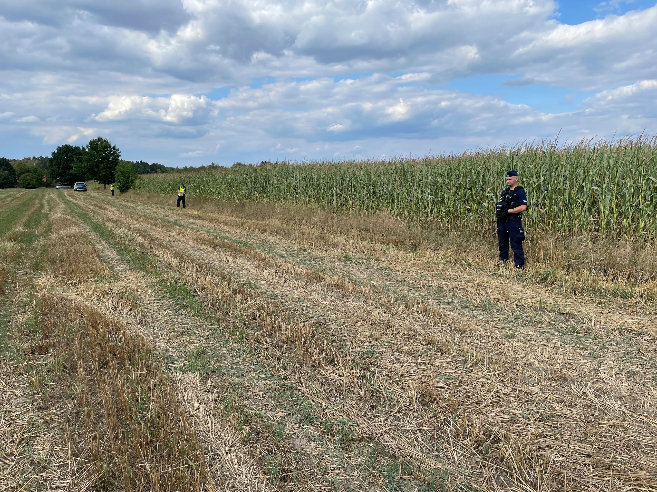 La policía asegura el área de un campo de maíz donde un objeto volador se estrelló y explotó en Osiny, en el este de Polonia, el miércoles 20 de agosto de 2025.