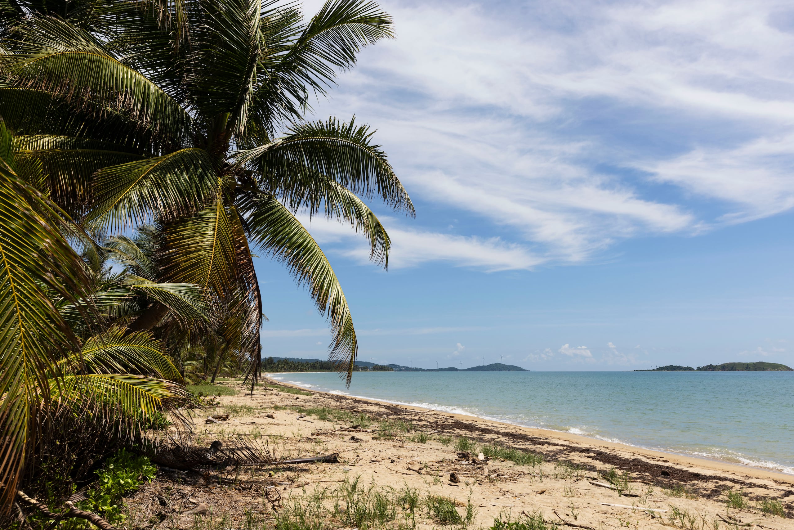 El CIC de Mayagüez investiga los hechos.