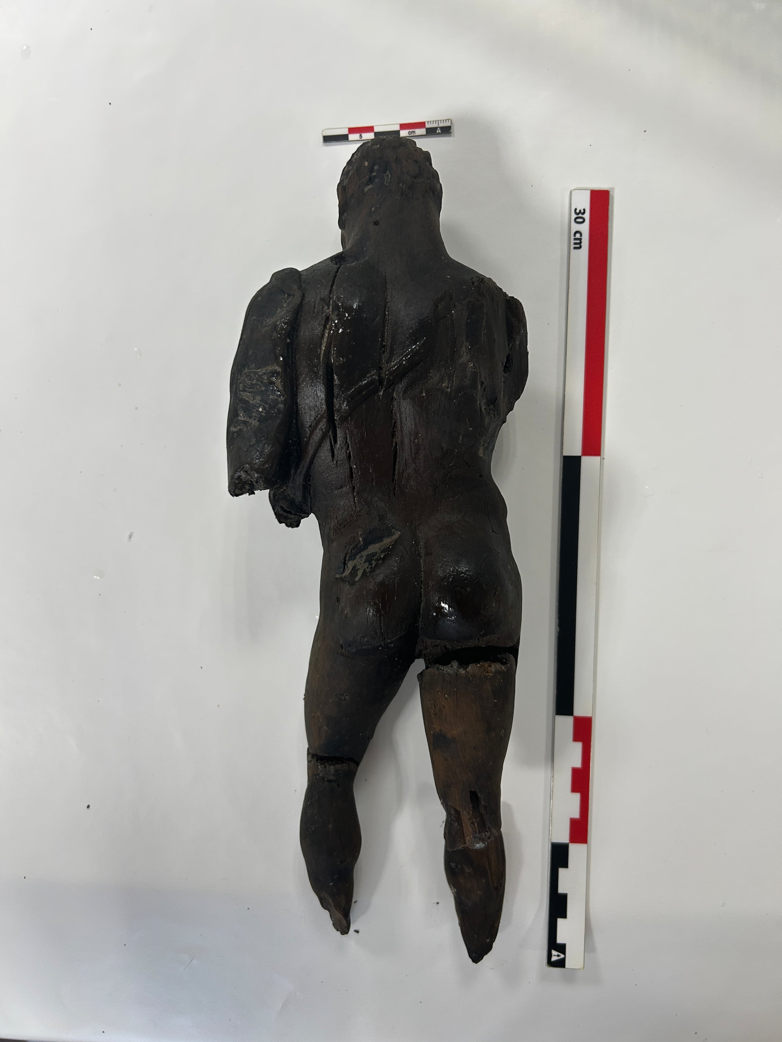 El terreno donde se halló el yacimiento es un ambiente sin oxígeno, sometido a una humedad y temperatura constantes, lo que permitió la preservación excelente de los restos orgánicos.