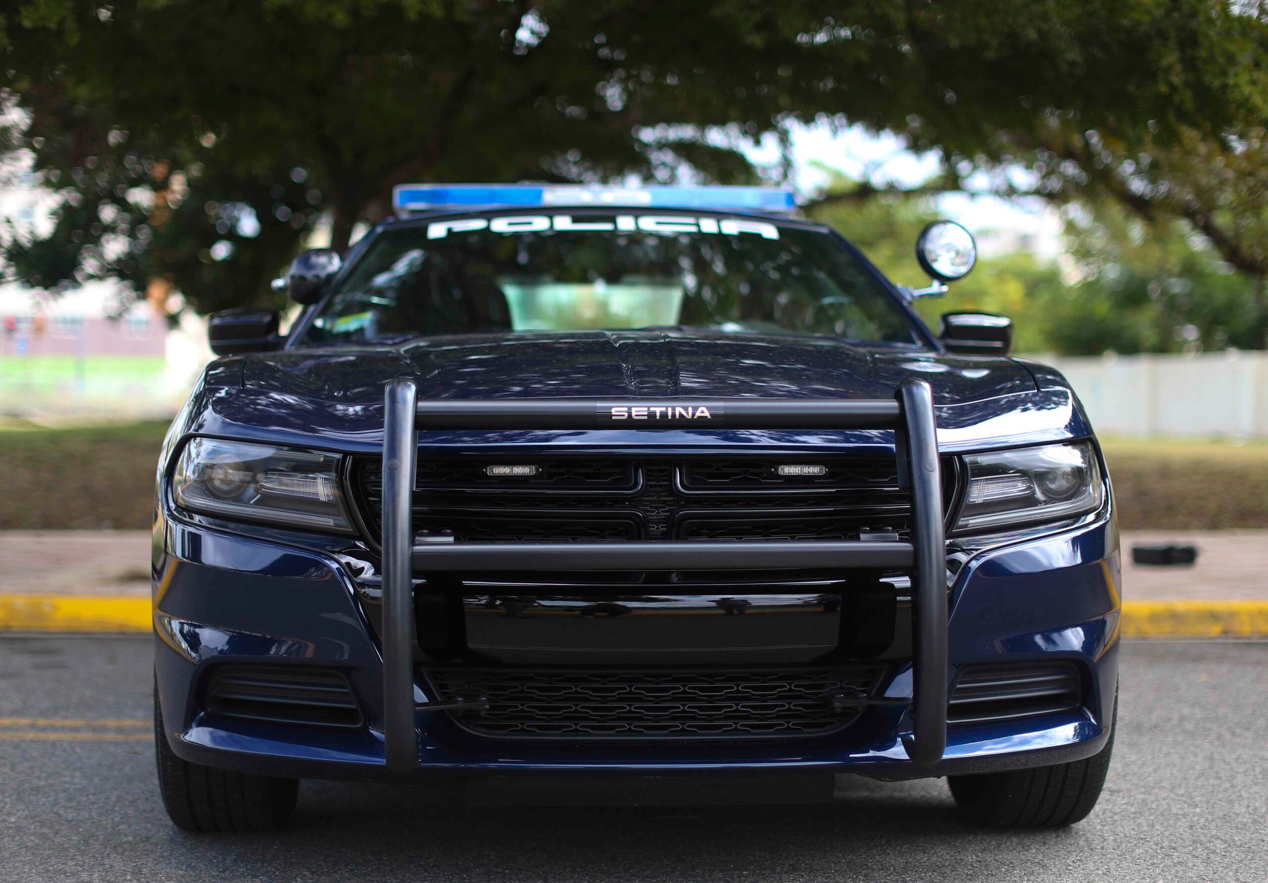La Policía investiga. (GFR Media)