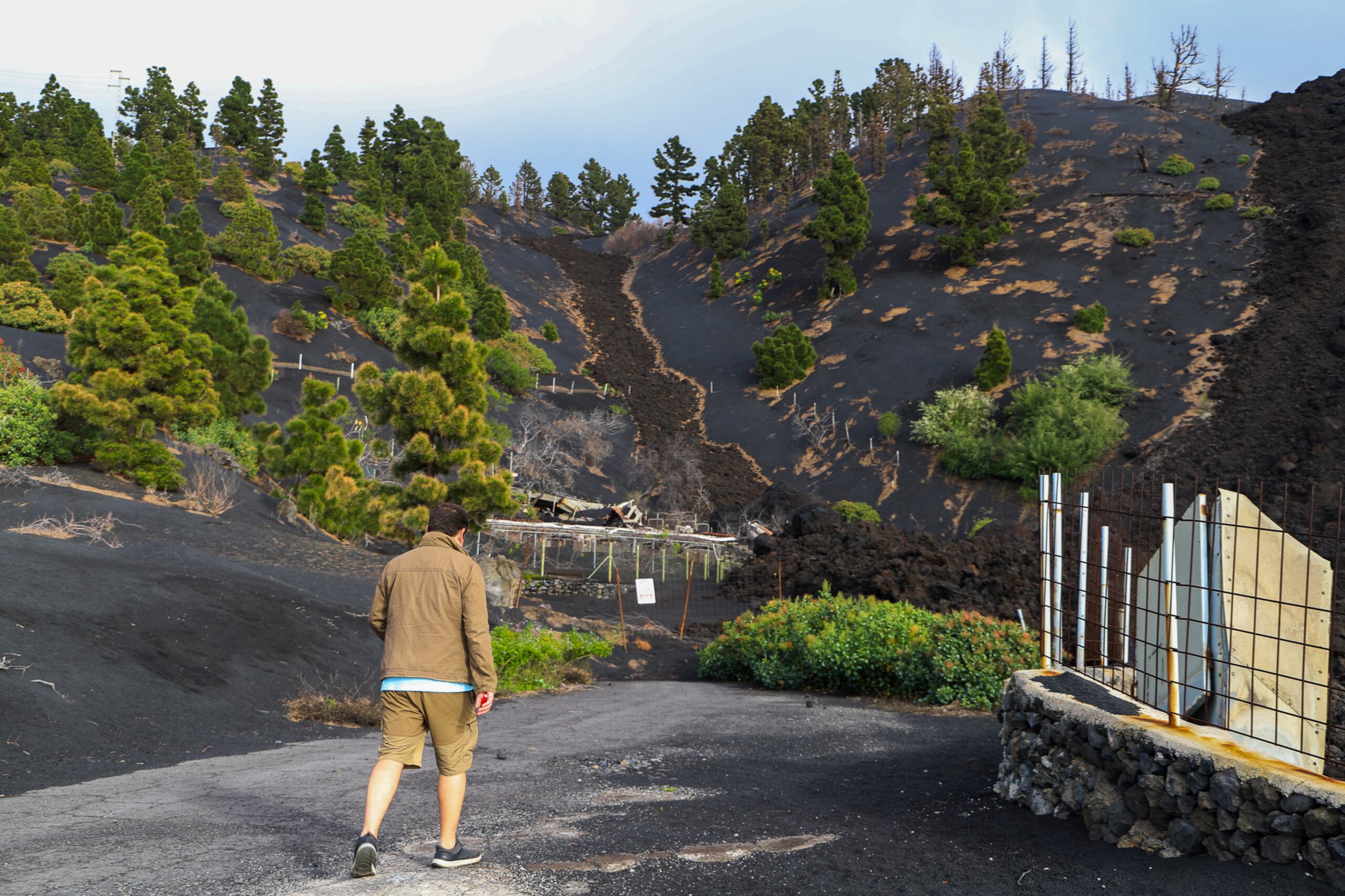 Un hombre camina por un camino situado en la zona afectada por la erupción del volcán de Tajogaite, en la isla de La Palma (España). EFE / Luis G Morera