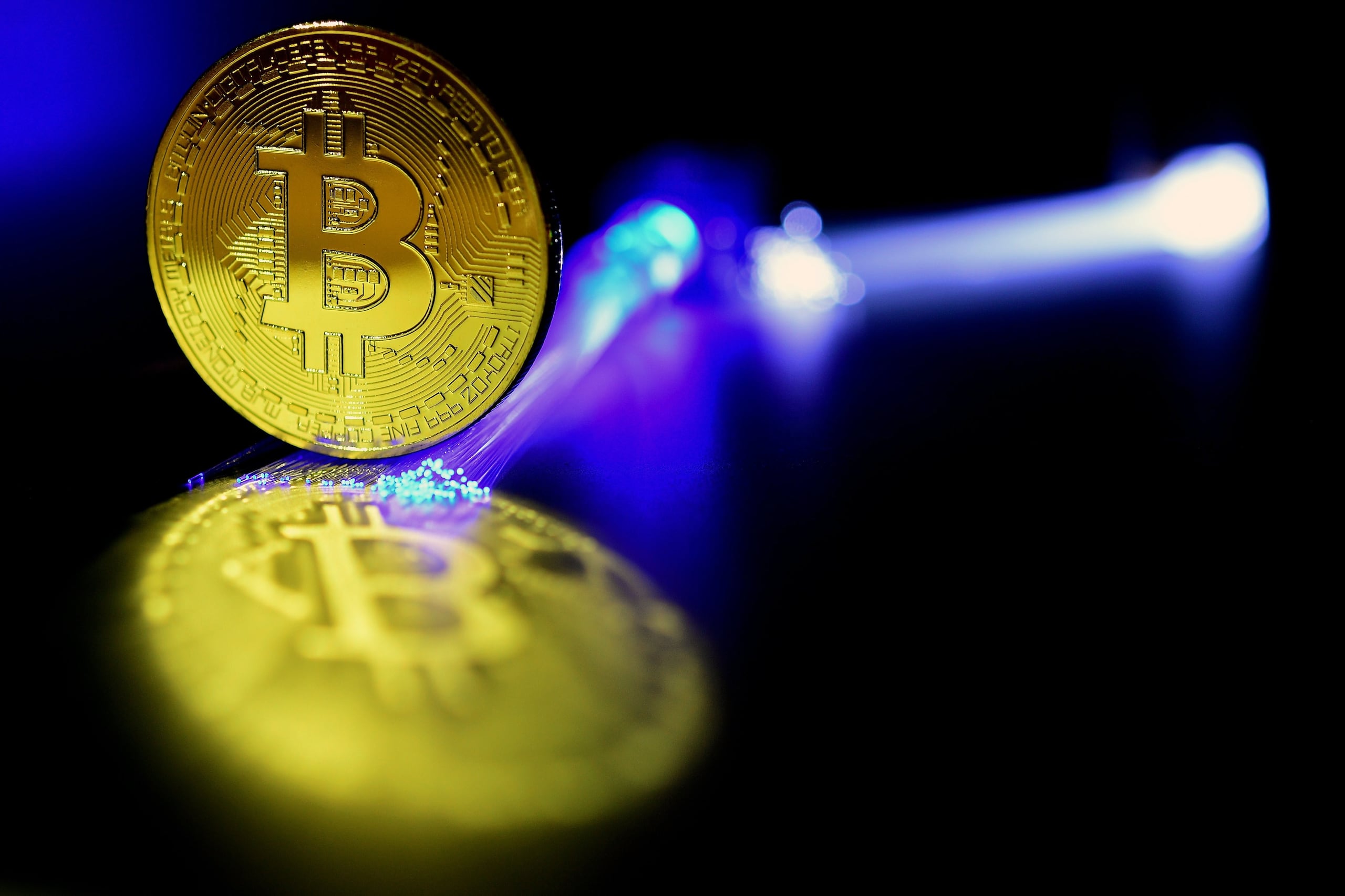 El software malicioso, llamado Crocodilus, se infiltra en los dispositivos de personas para recolectar las credenciales de ingreso a billeteras digitales y robar sus criptomonedas.