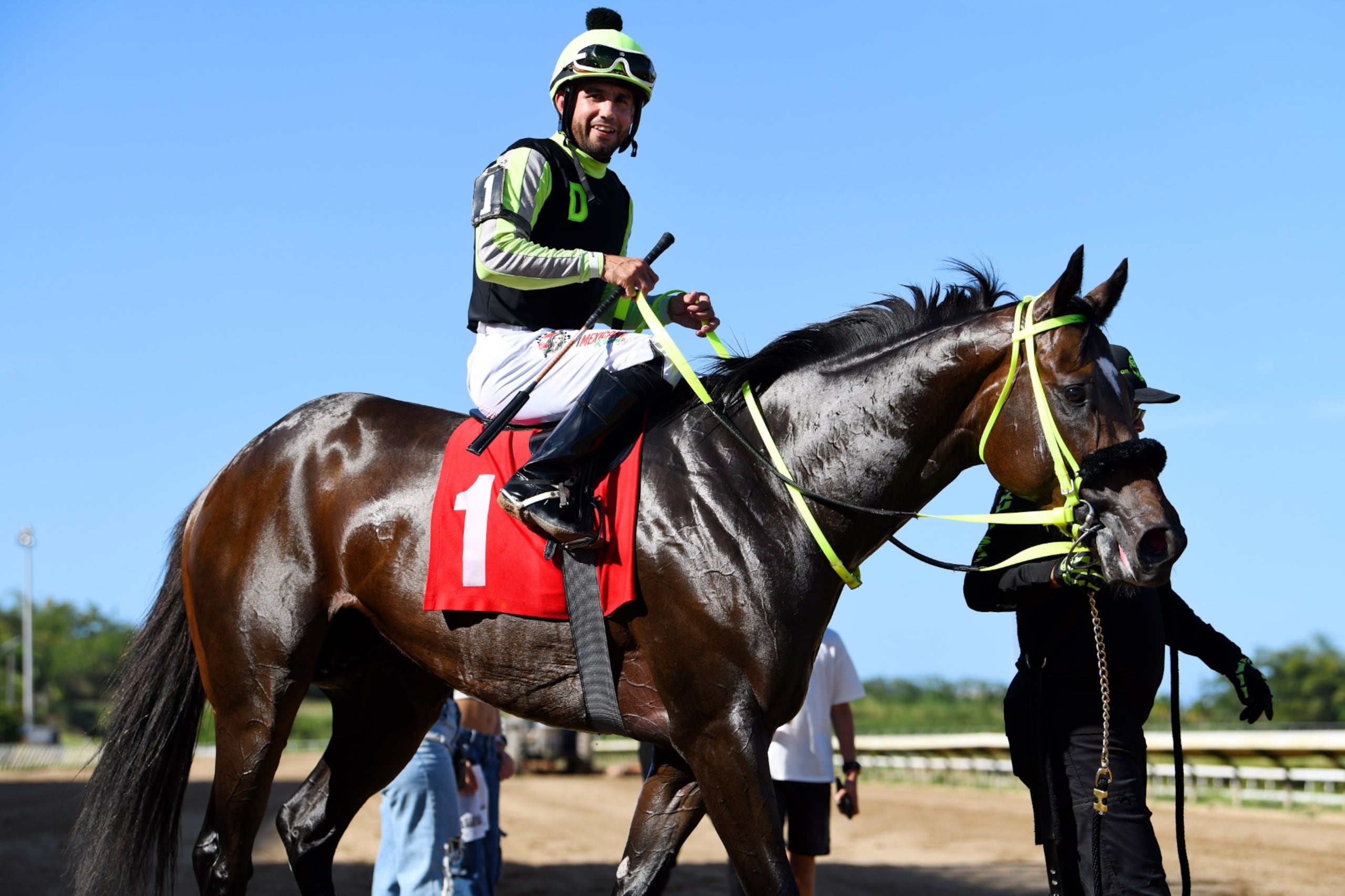 Iron Skull regresa ganador luego de ganar el domingo en su debut como tresañero en el hipódromo Camarero. Le monta Erik Ramírez.