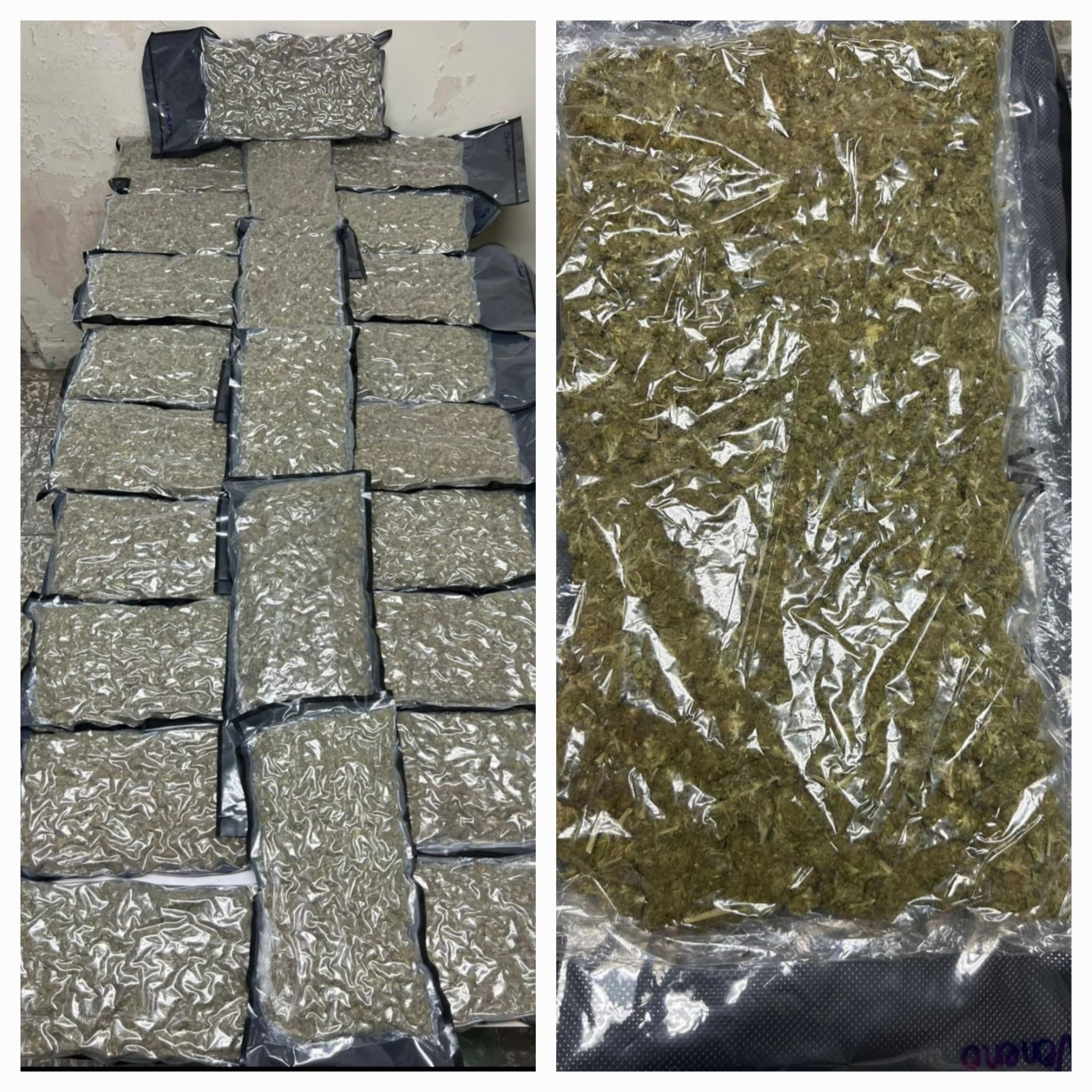 Agentes de la División de Inteligencia y Arrestos de Aguadilla, ocuparon 38 libras de marihuana durante un plan de vigilancia y seguimiento, en la avenida Lulio E. Saavedra Brasco, en Isabela.