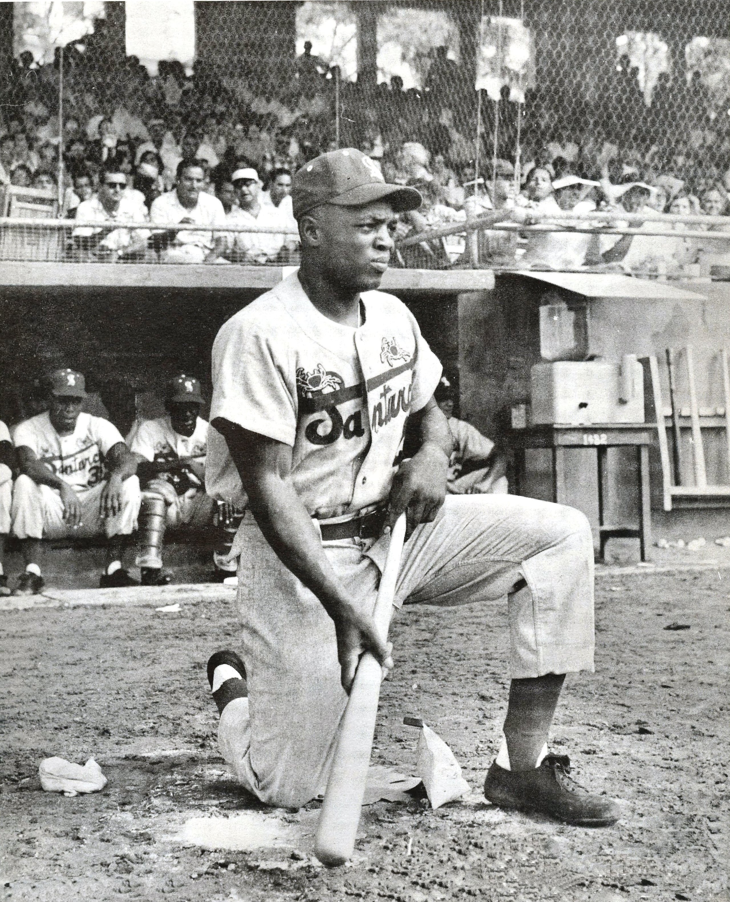 En 172 turnos en Puerto Rico, Willie Mays anotó 63 carreras, dio 68 hits, pegó 15 dobles, siete triples, 12 jonrones y empujó 33 carreras con los Cangrejeros. Se robó 10 bases, liderando la liga con un promedio de .335 y un porcentaje de slugging de .773. (Fotos de Jorge Colón Delgado)