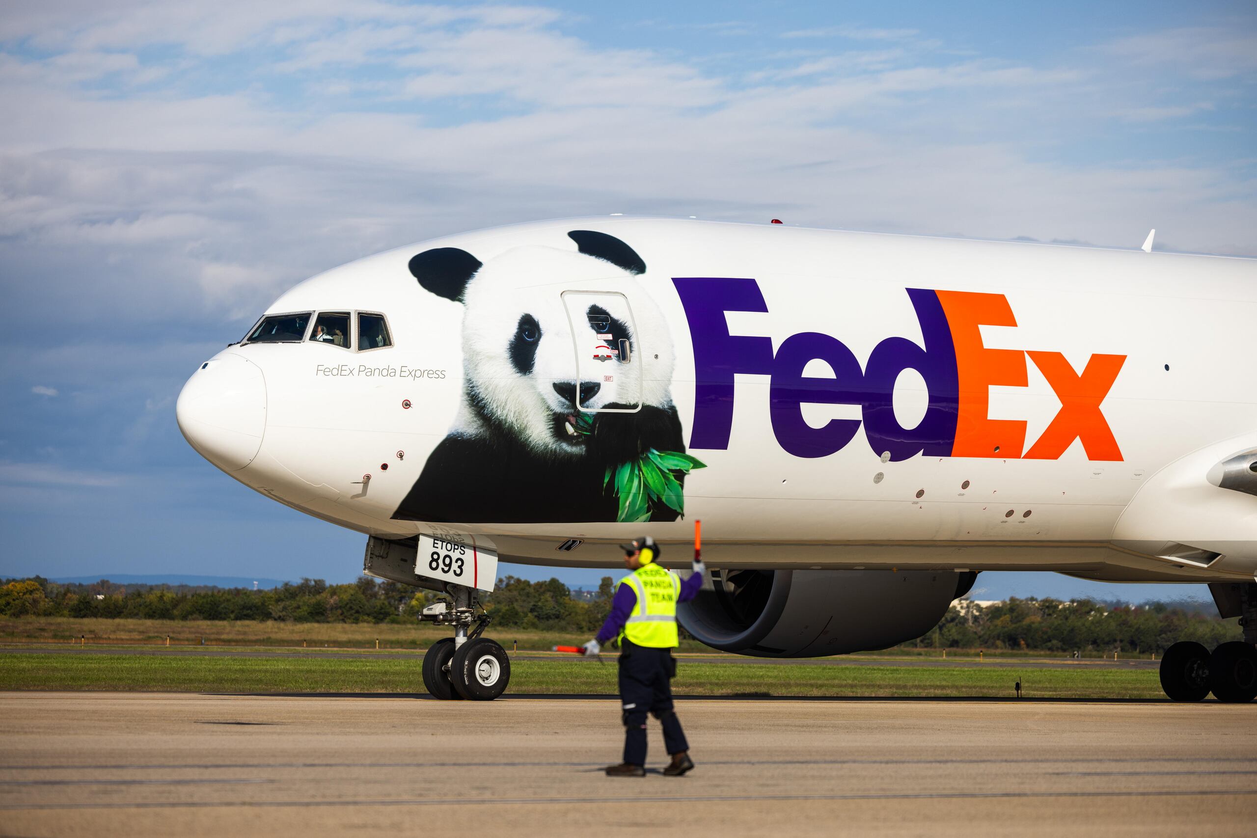 Los animales viajaron en un avión carga Boeing 777 de FedEx, apodado ‘Panda Express’.