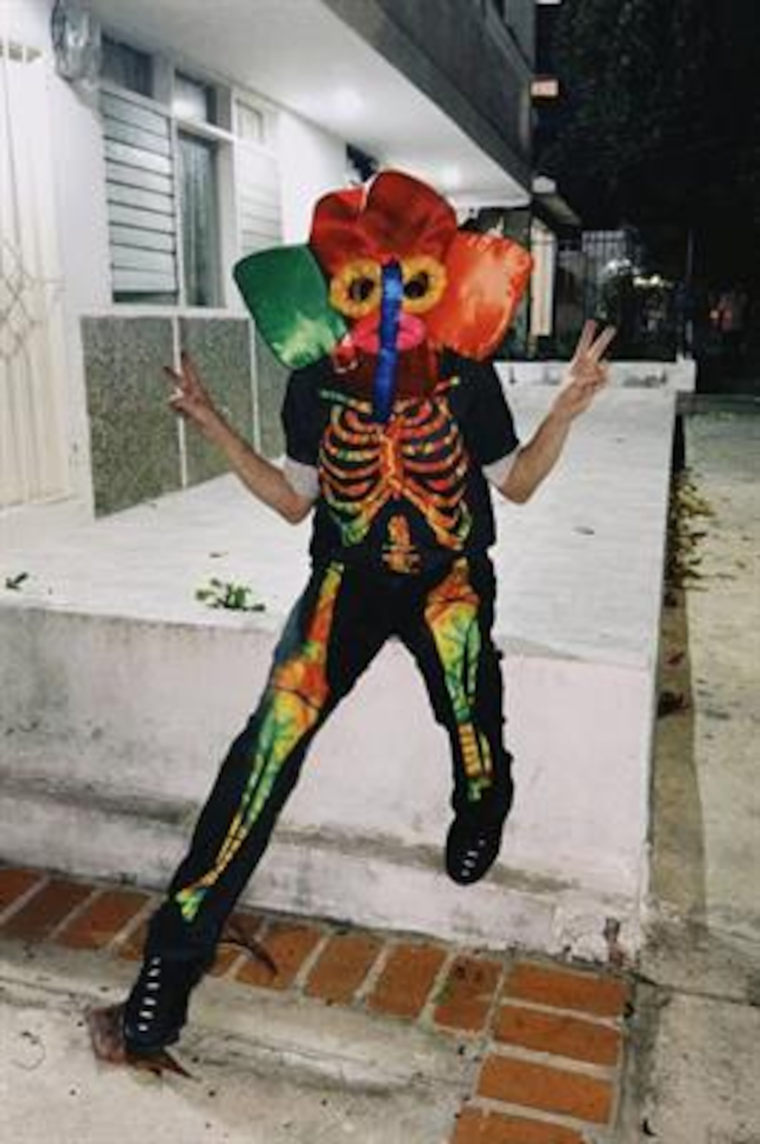 Shakira durante el carnaval.