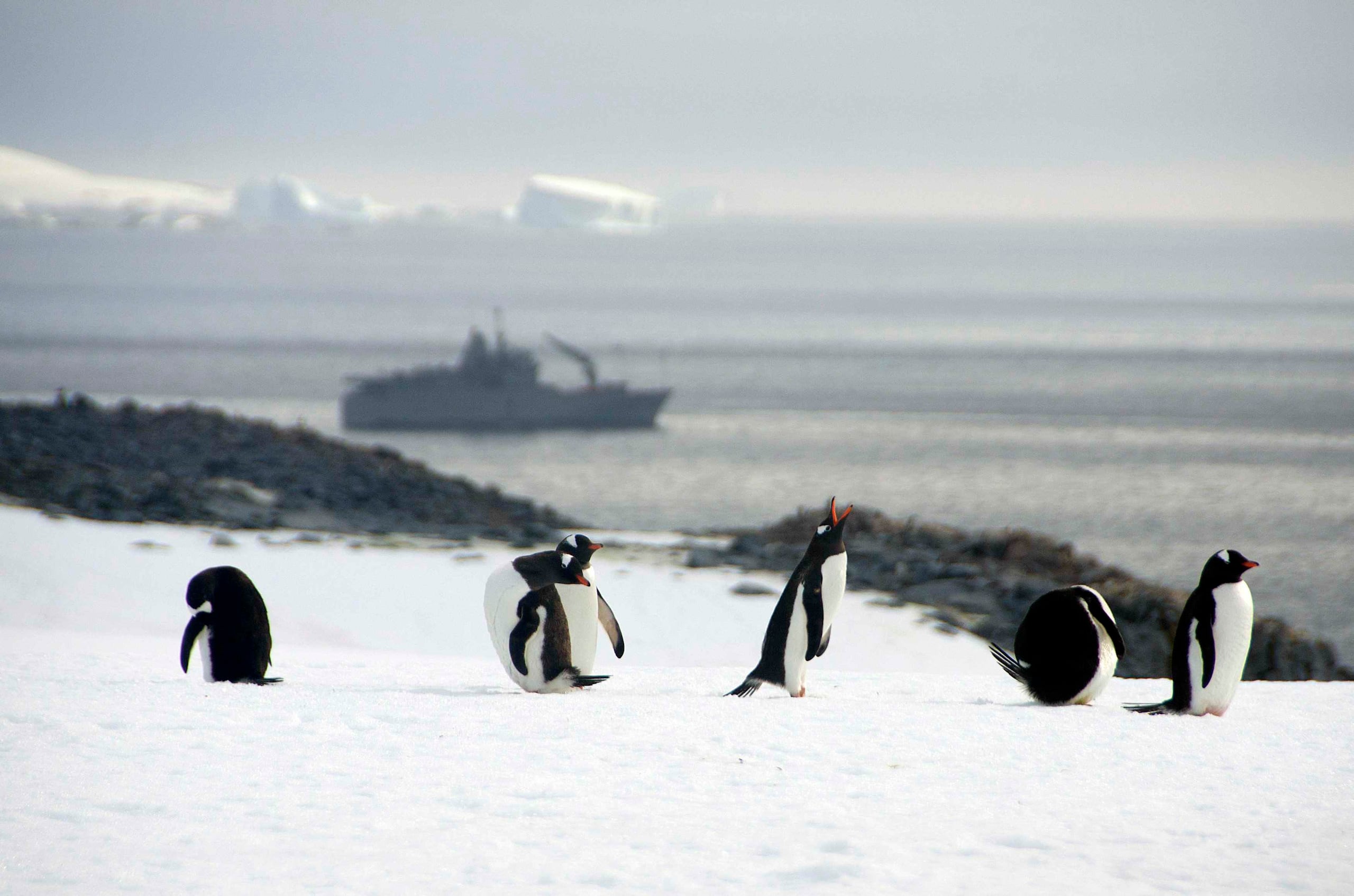 La buena noticia es que una reducción agresiva de las emisiones de carbono limitará el riesgo de un retroceso considerable en la capa de hielo de la Antártida. (EFE / ALEJANDRO VEJAR / ARMADA DE CHILE)