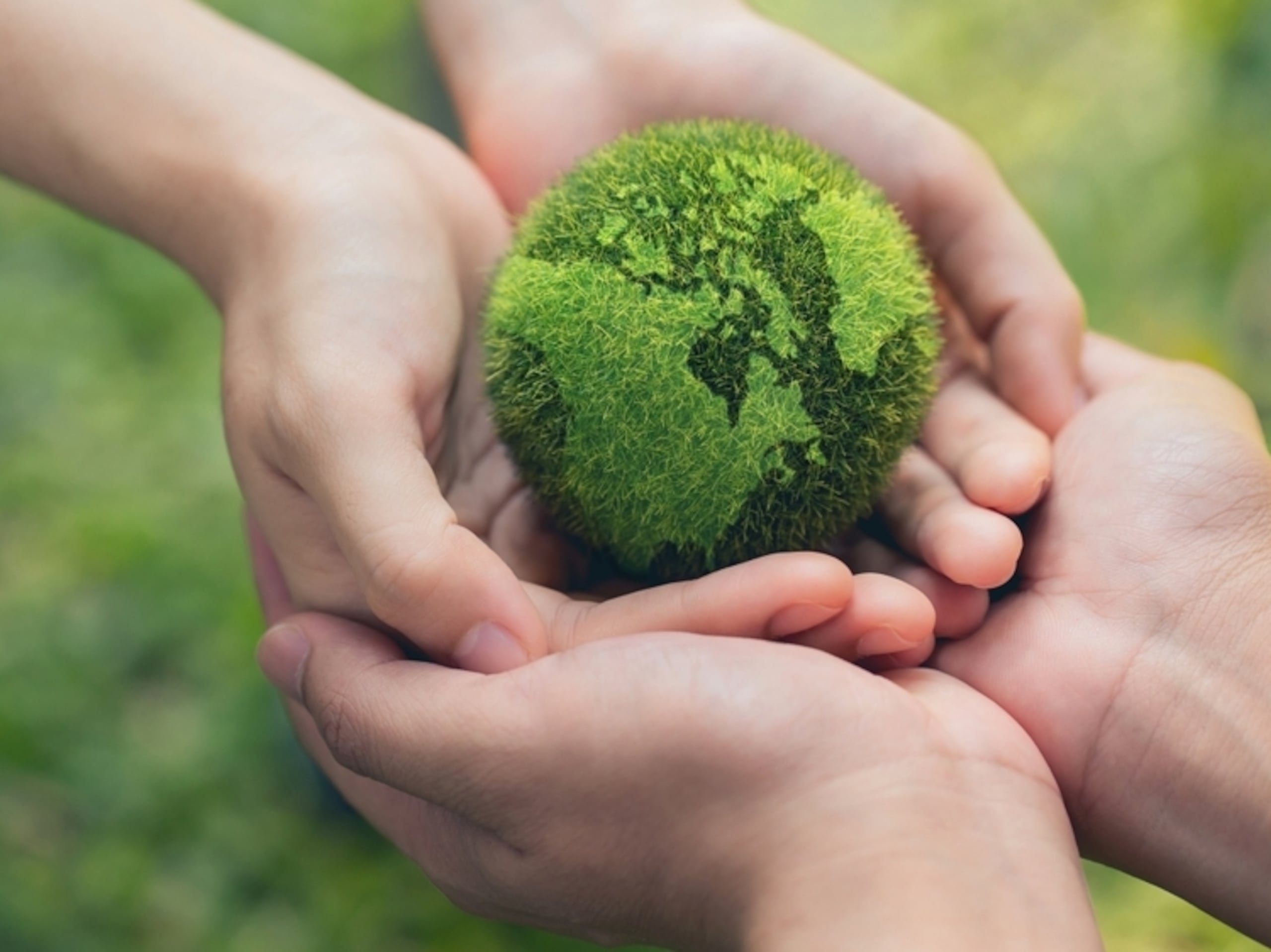 Con motivo de la celebración del Día Mundial de la Tierra, cuatro "influencers ambientales" hablan sobre sus roles y sus motivaciones en favor de la protección del planeta.