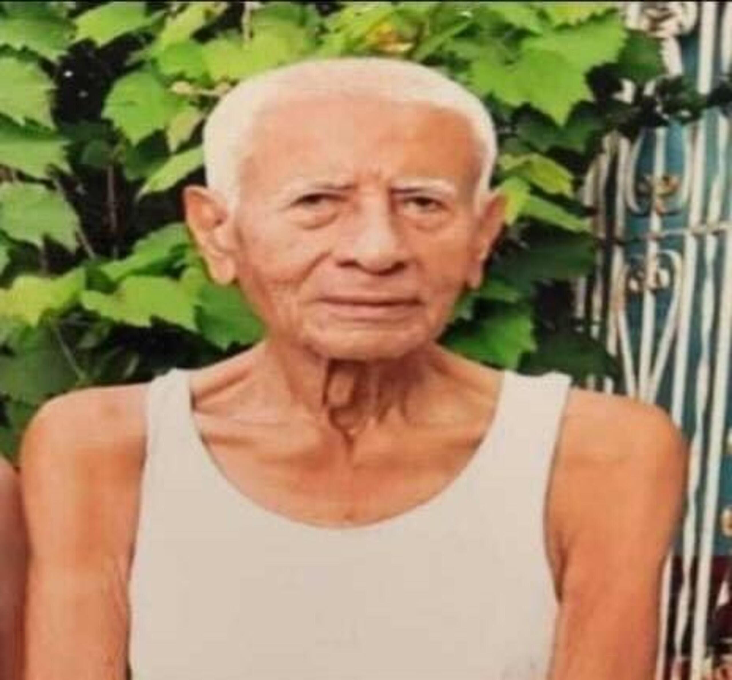 Julio Figueroa García fue visto por última vez en las inmediaciones de calle Boundary en la urbanización Santa Rosa de Bayamón.