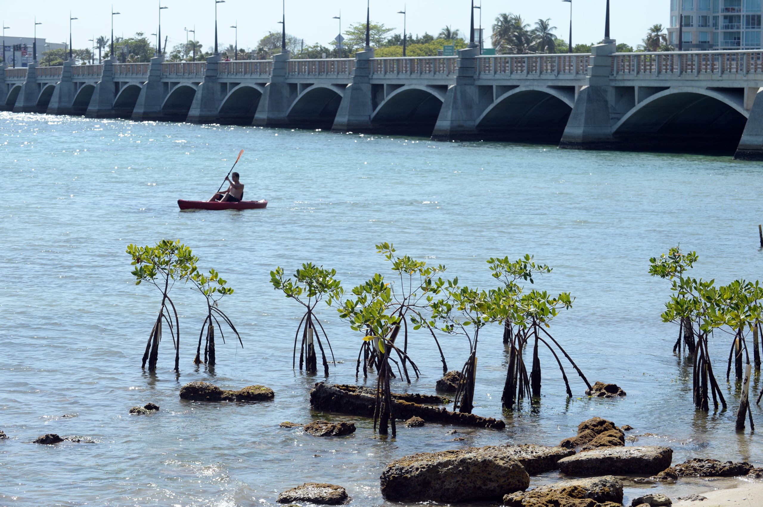 La primera intervención con el negocio ocurrió en el mes de abril.