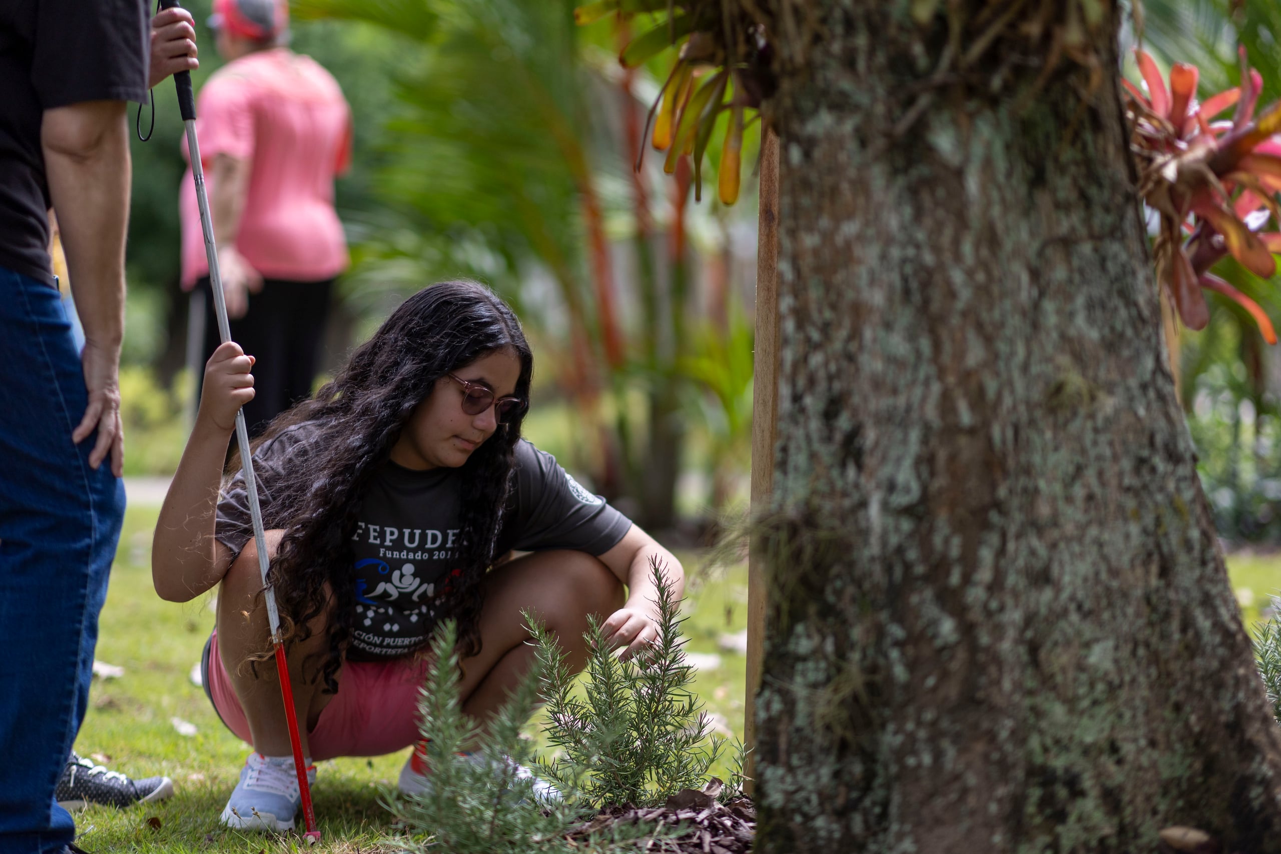 Mía Verónica Cintrón Rodríguez explora el Jardín Sensorial para Ciegos Doña Tinita, que abrió recientemente en el Jardín Botánico y Cultural, William Miranda, de Caguas.