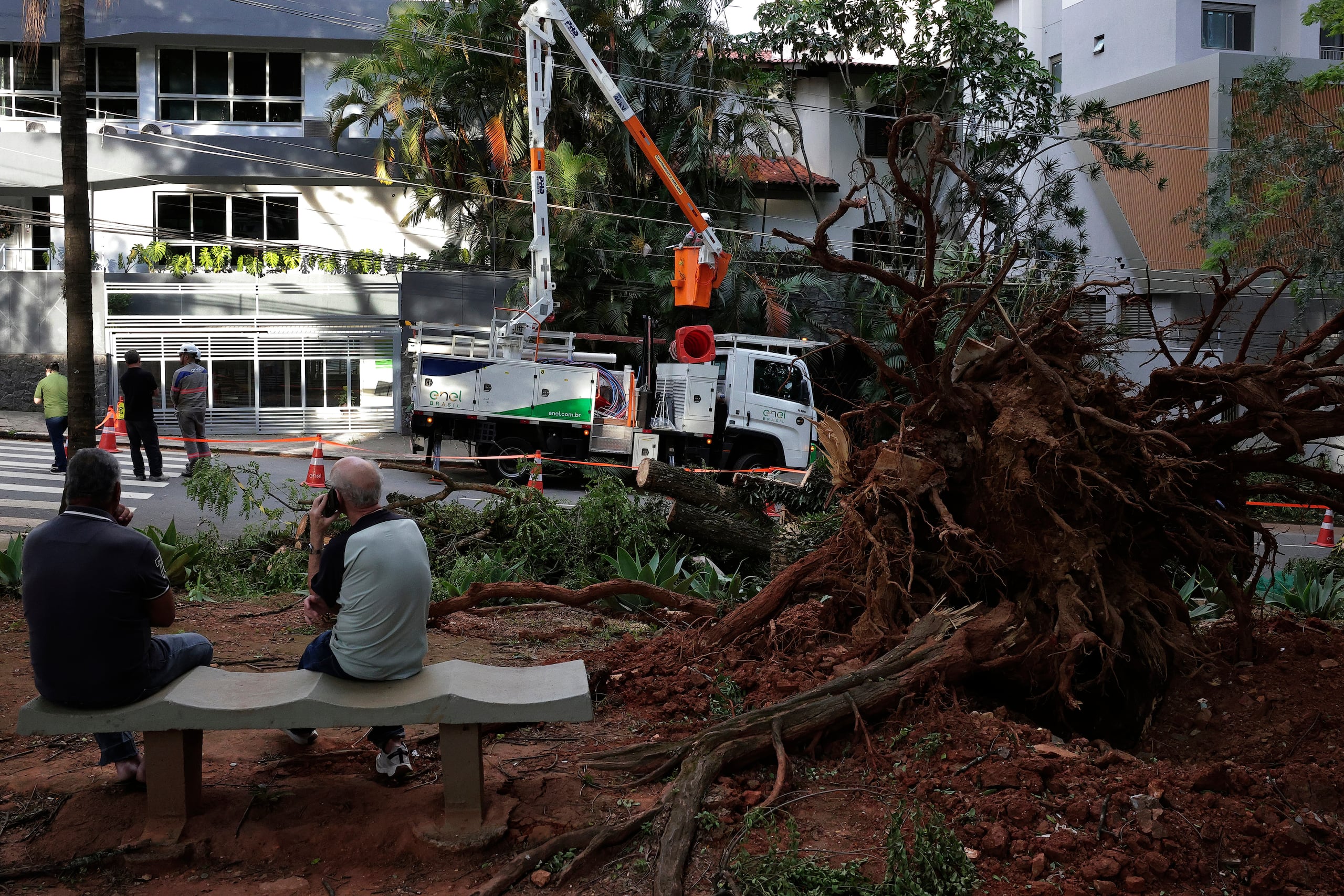 El ayuntamiento de São Paulo informó que 231 árboles cayeron debido a lo que denomina efectos de un ciclón extratropical formado en el sur de Brasil.