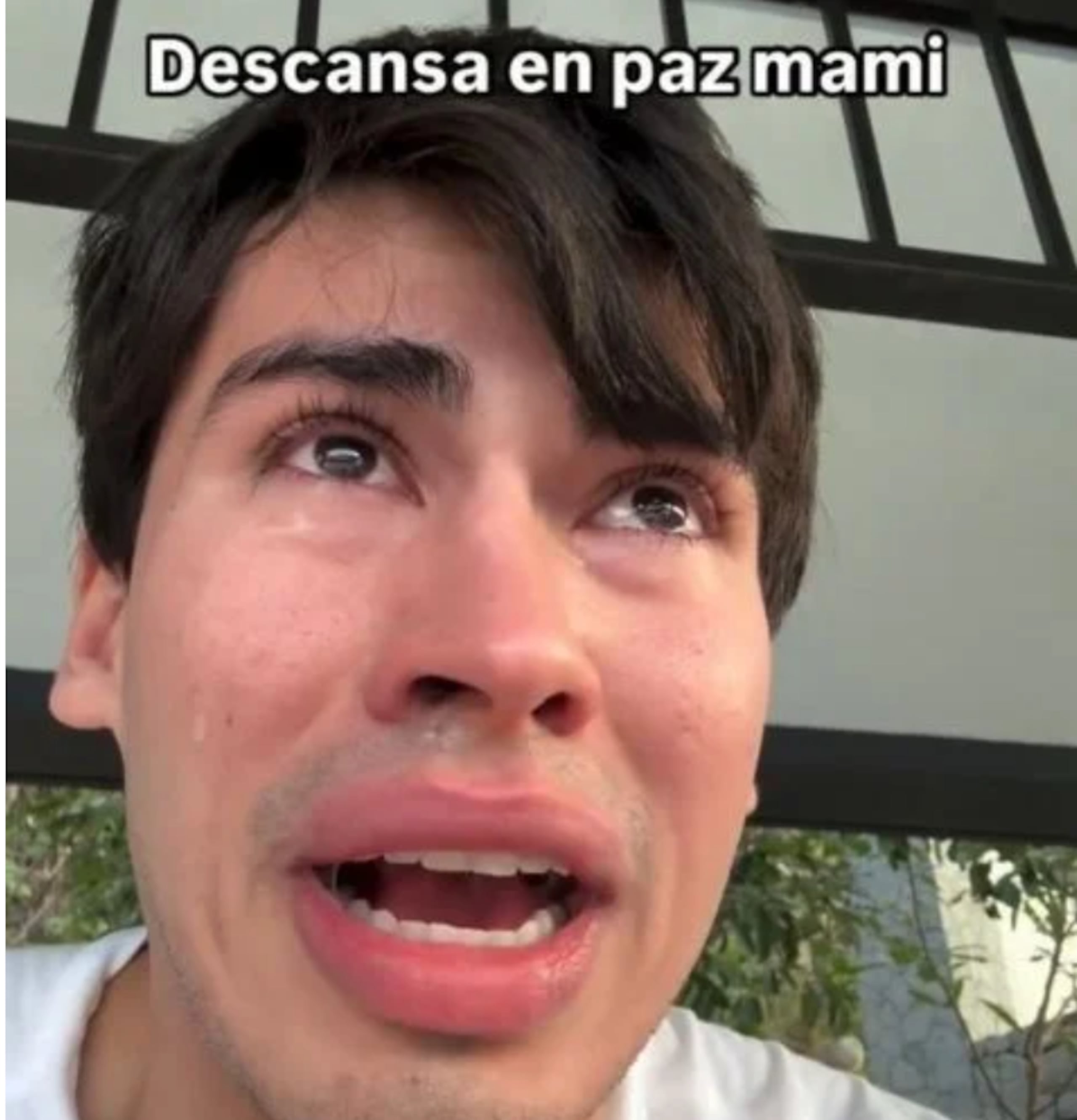 La Divaza.