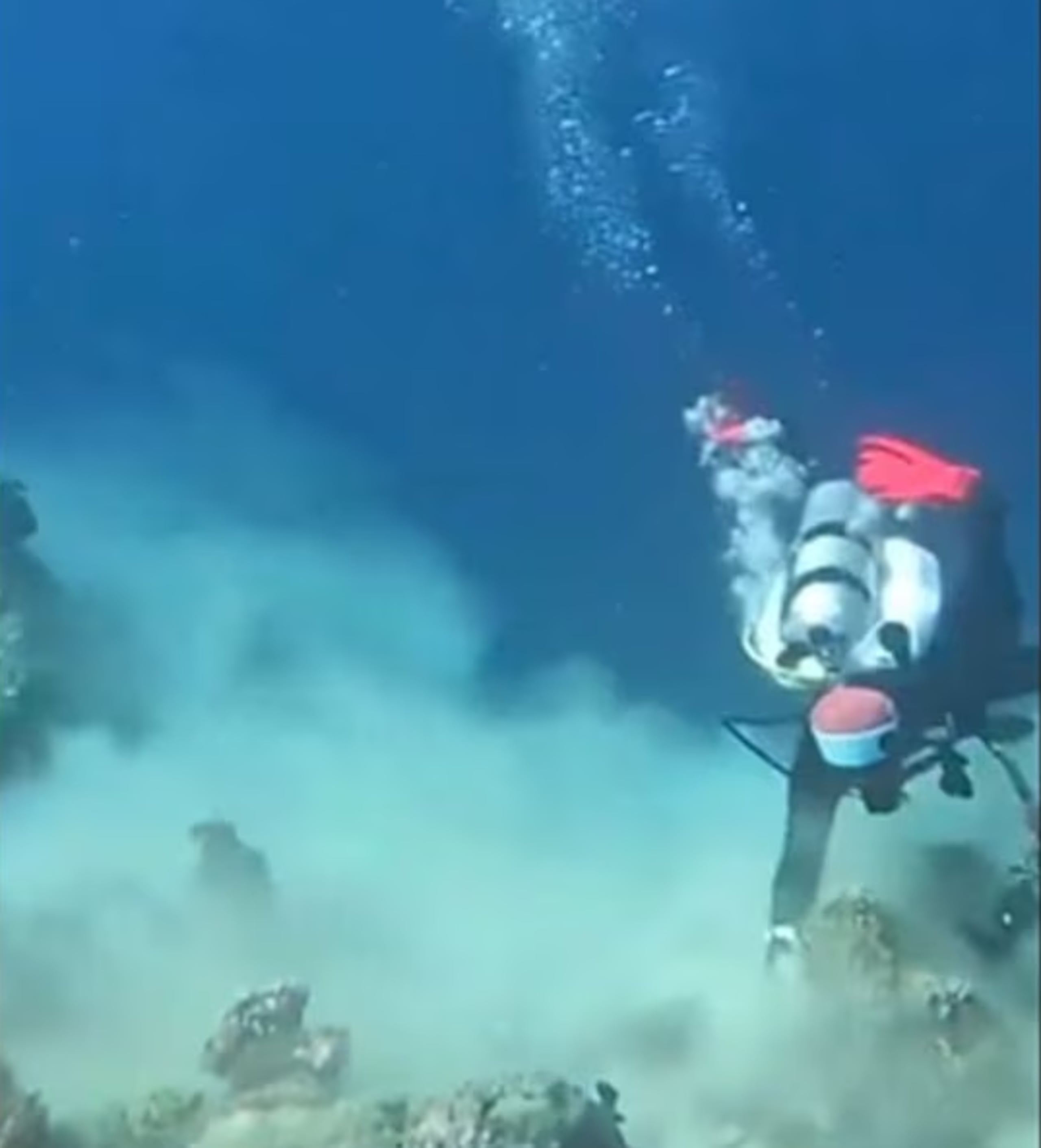 Terremoto en el mar.