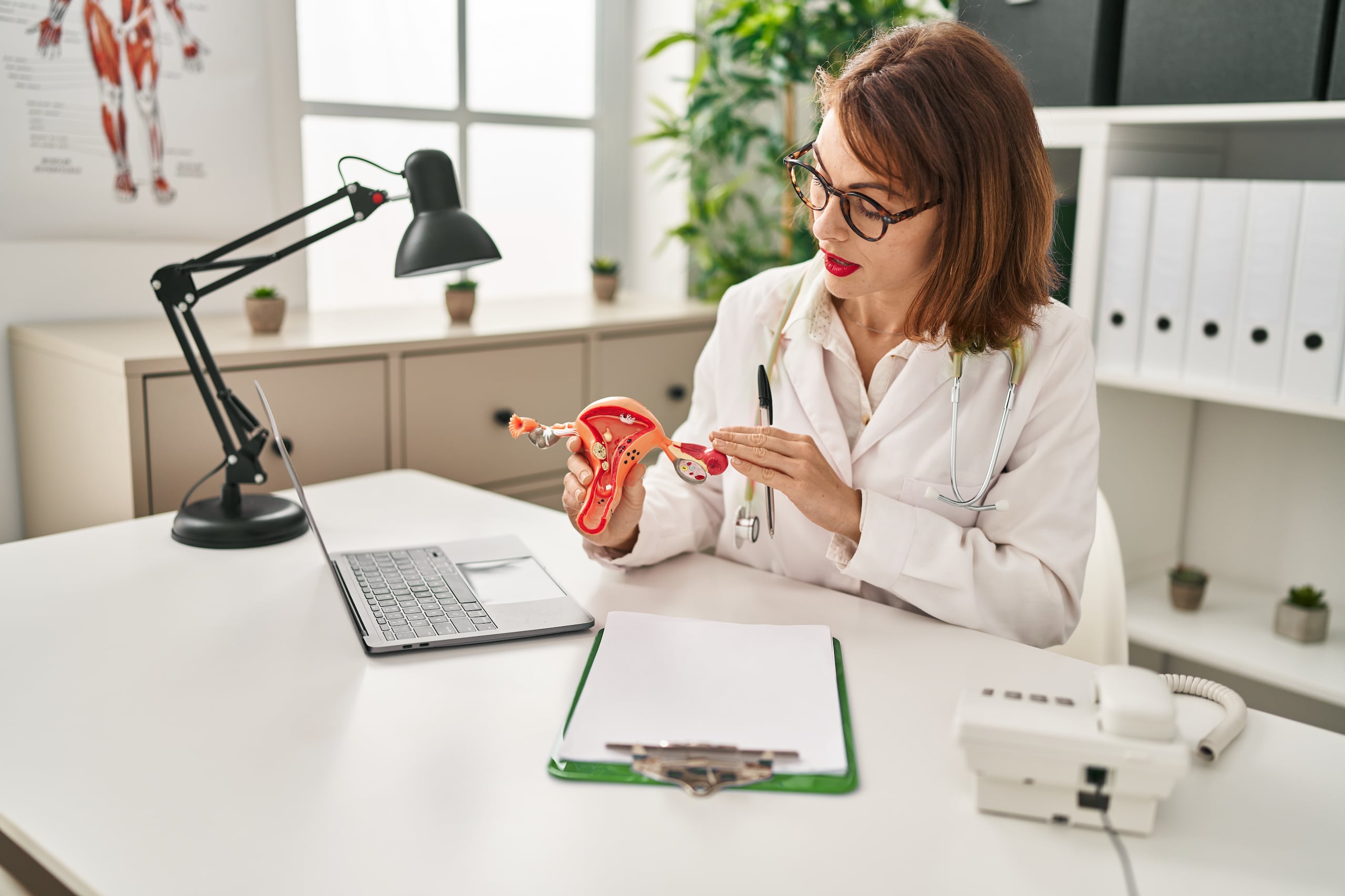 El ginecólogo puede evaluar los síntomas de la perimenopausia y solicitar pruebas hormonales para comprender mejor el estado hormonal de la paciente. En algunos casos se discuten opciones de tratamiento, incluyendo cambios en el estilo de vida o terapias hormonales cuando están indicadas.
