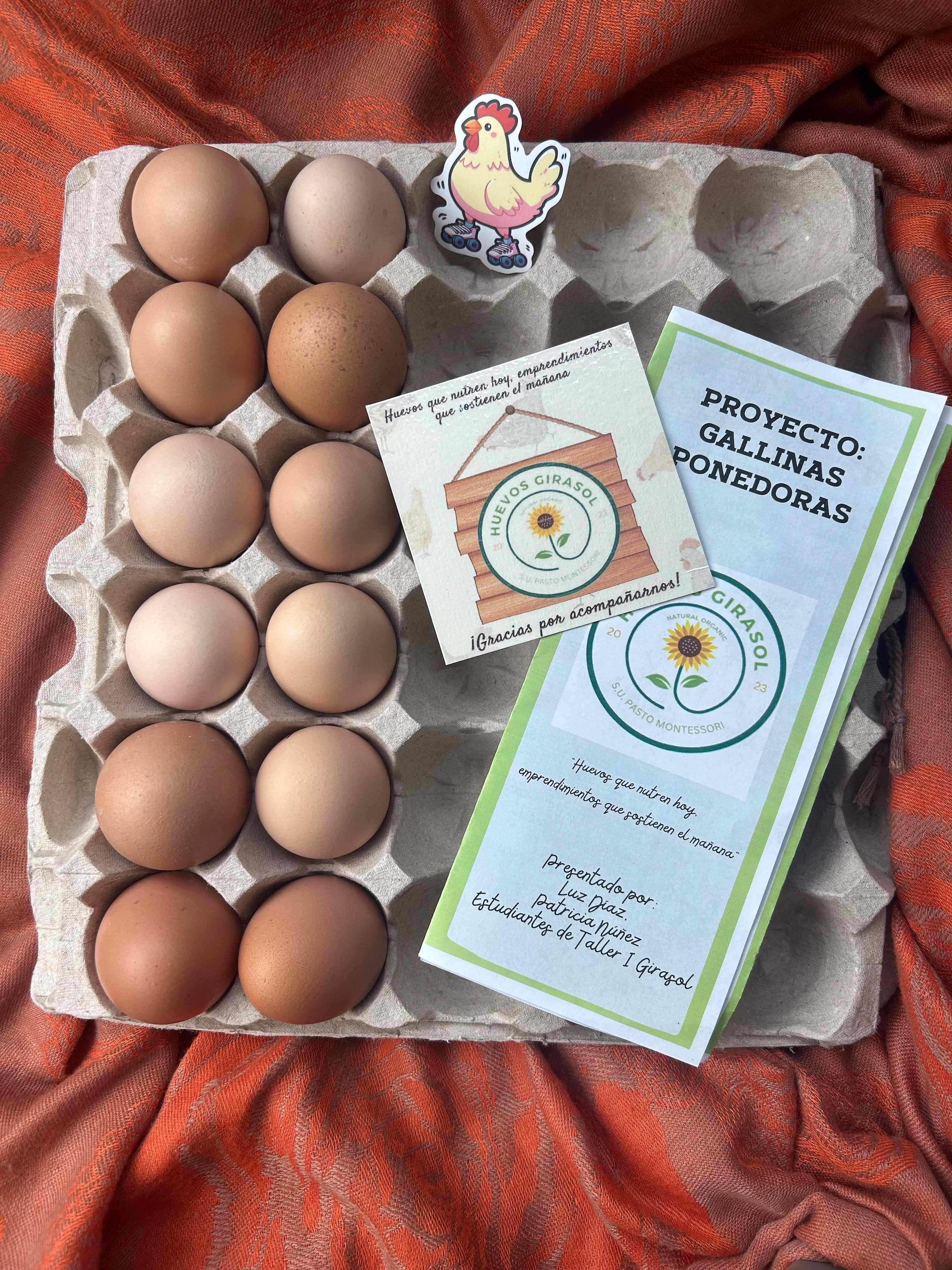 Proyecto Huevos Girasol