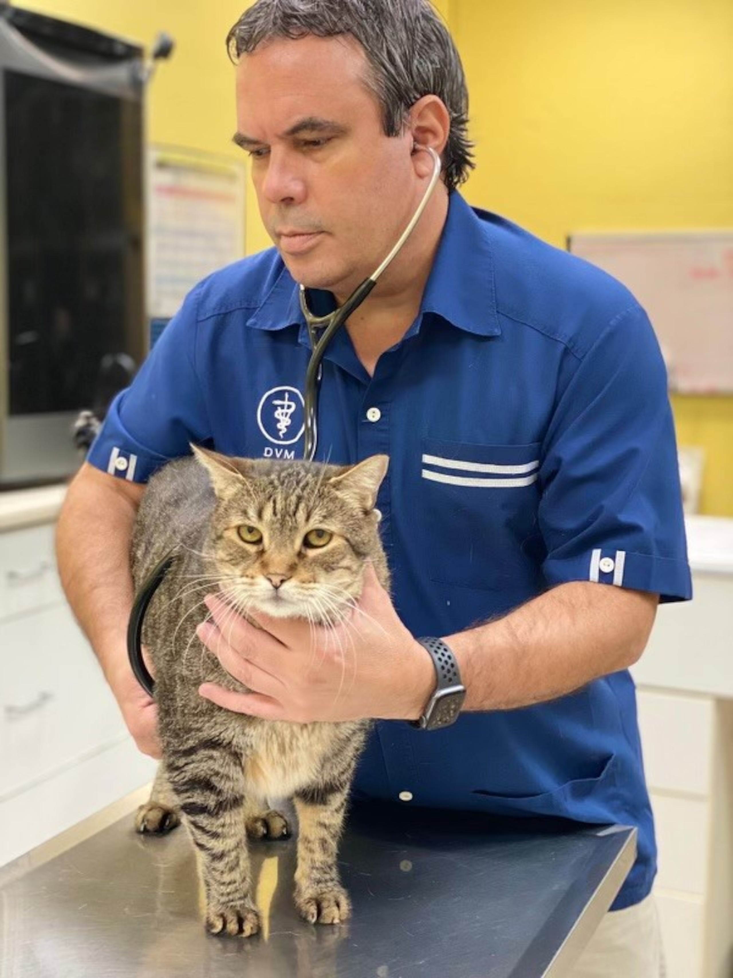 José Arce, presidente saliente de la American Veterinary Medical Association (AVMA).