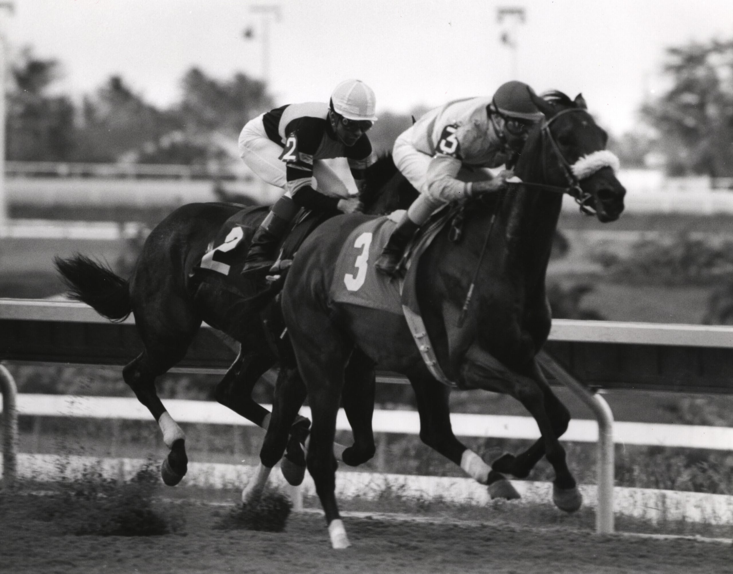 Ángel 'Junior' Cordero fue el primer jinete boricua en ganar el Kentucky Derby.