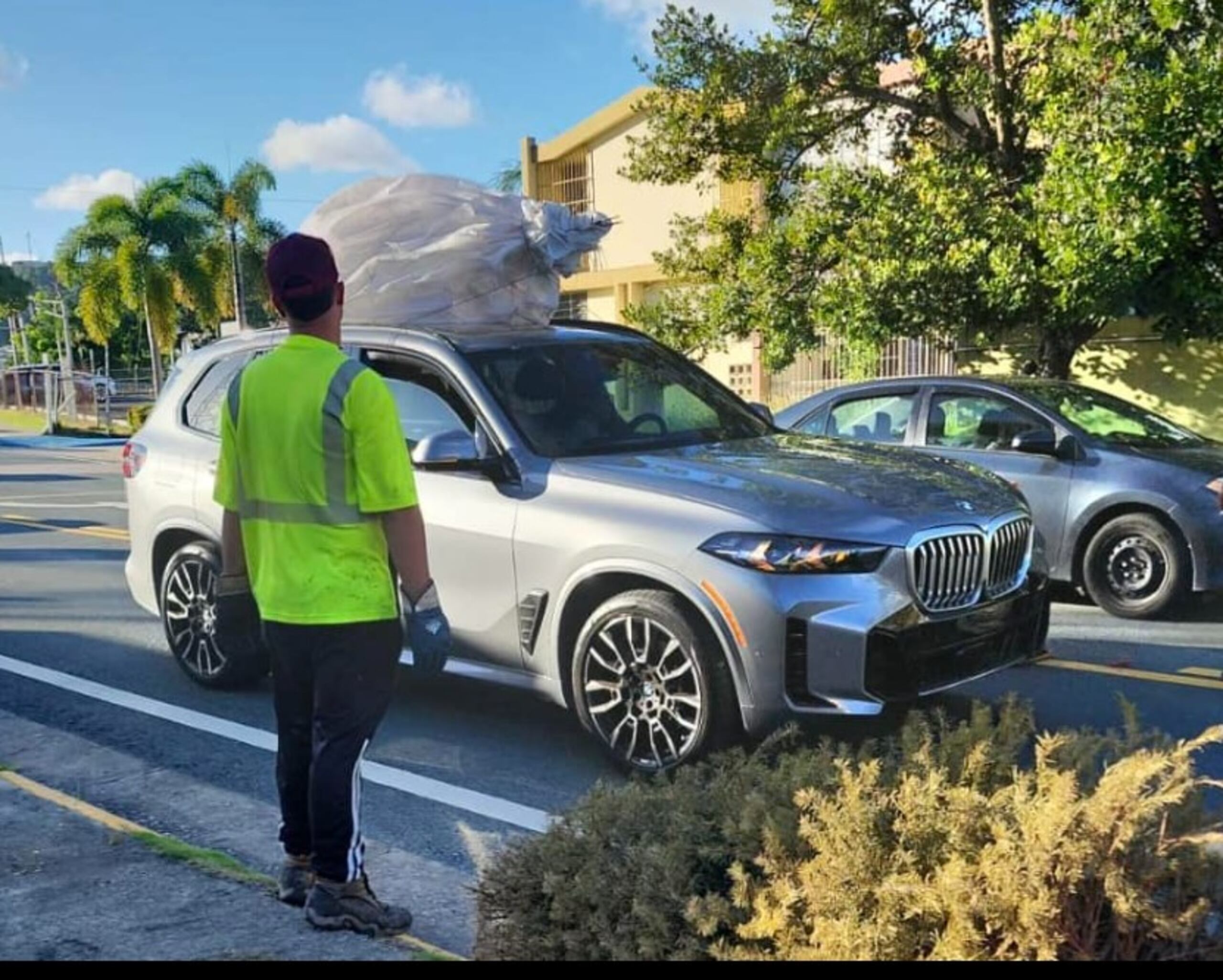 Guaynabo recicla más de mil árboles de Navidad