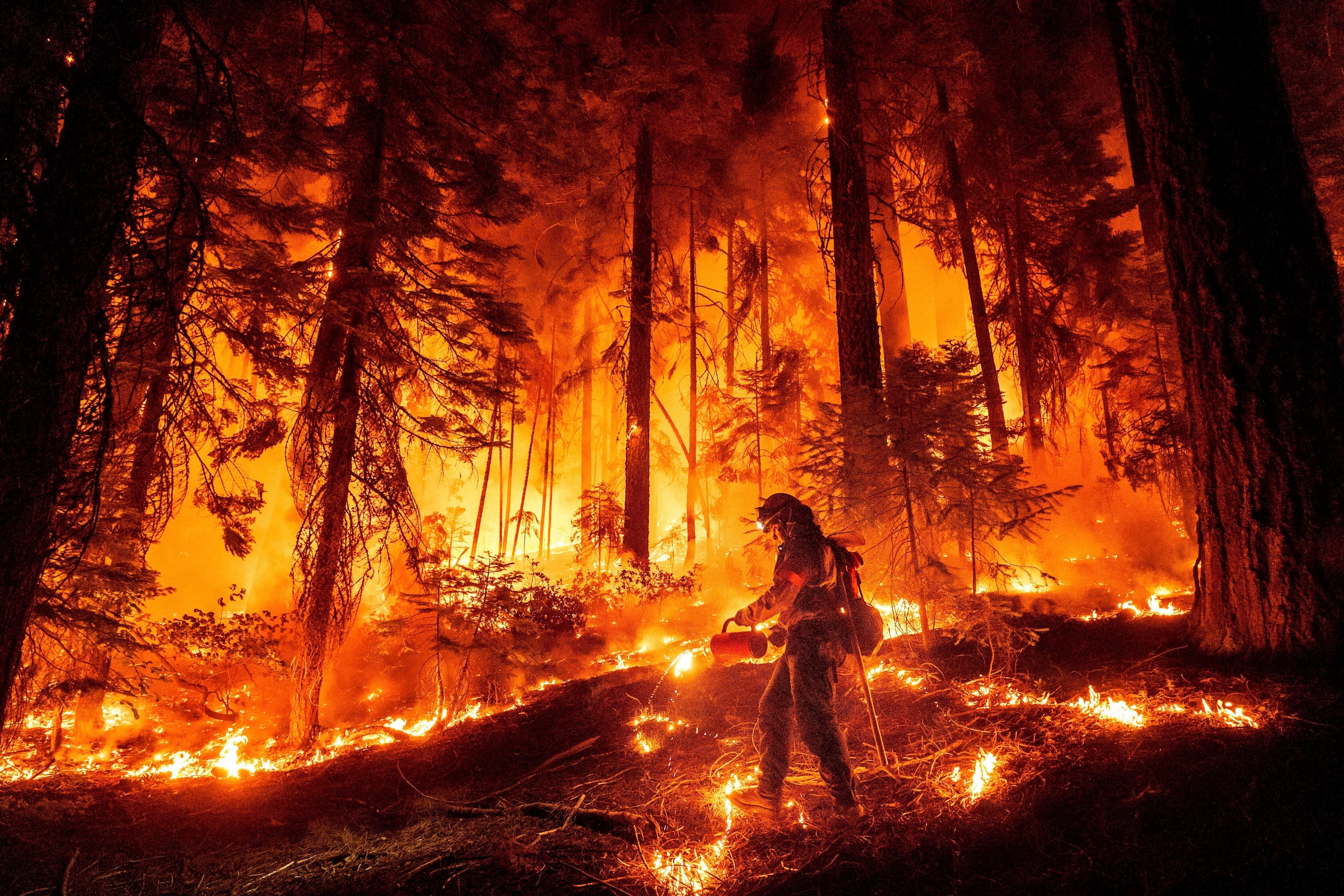 Al momento, tres personas han resultado heridas en los más recienten incendios forestales en el estado de California.