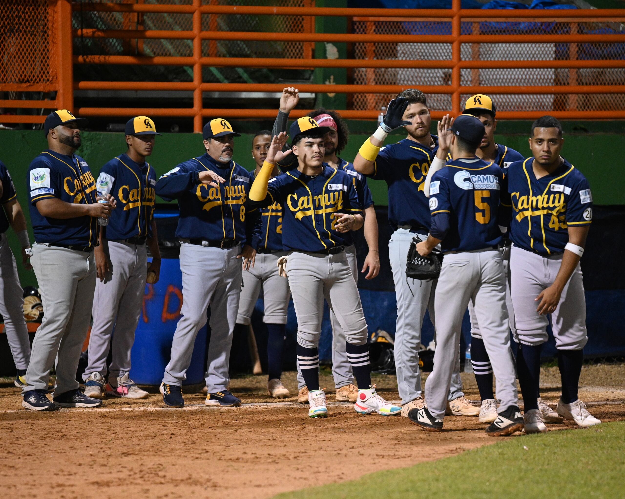 Los Arenosos de Camuy nunca han llegado a una final del Béisbol Superior Doble A.