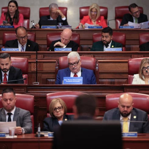 FOTOS: Las caras de la interpelación de Francisco Domenech en Comisión Total del Senado