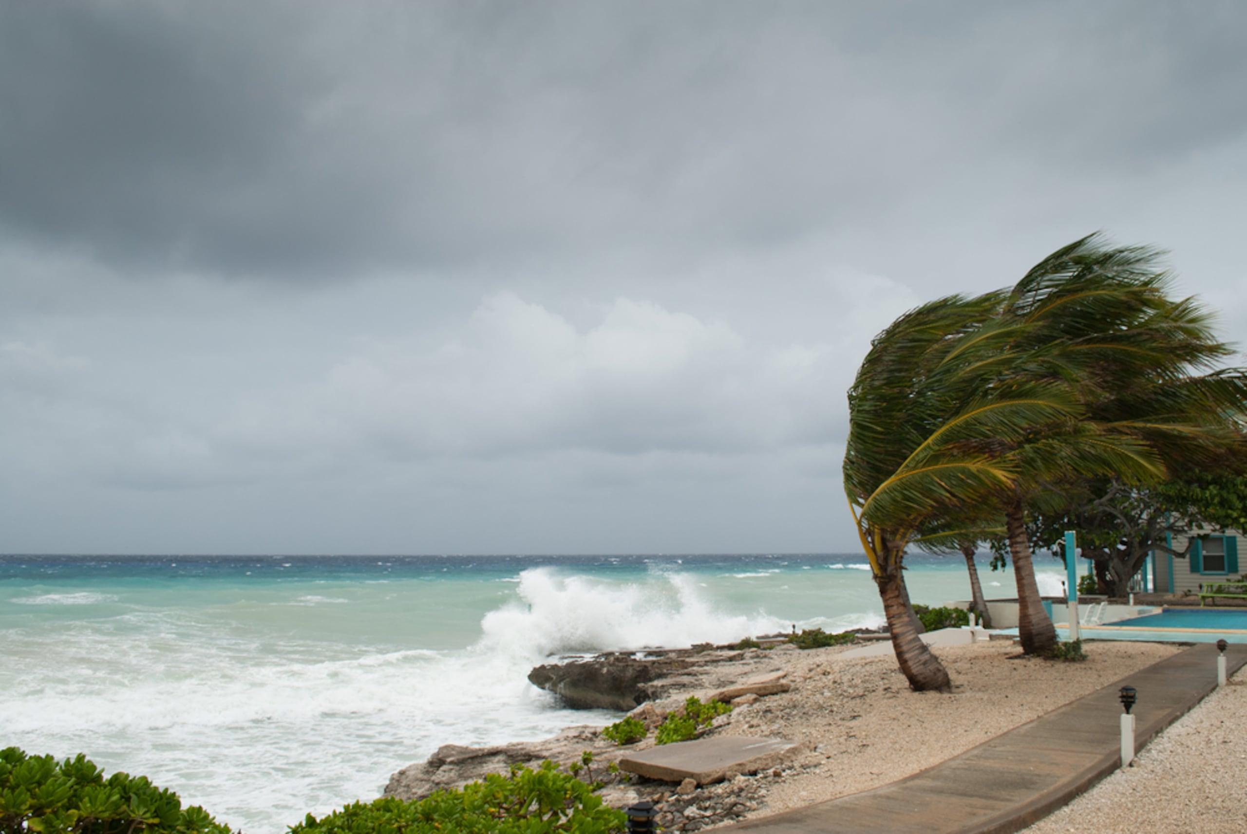 Un estudio estadístico concluyó que la probabilidad de eventos extremos de lluvia de ciclones tropicales como lo ocurrido durante el huracán María ha aumentado en partes de Puerto Rico desde 1956 debido al cambio climático a largo plazo.