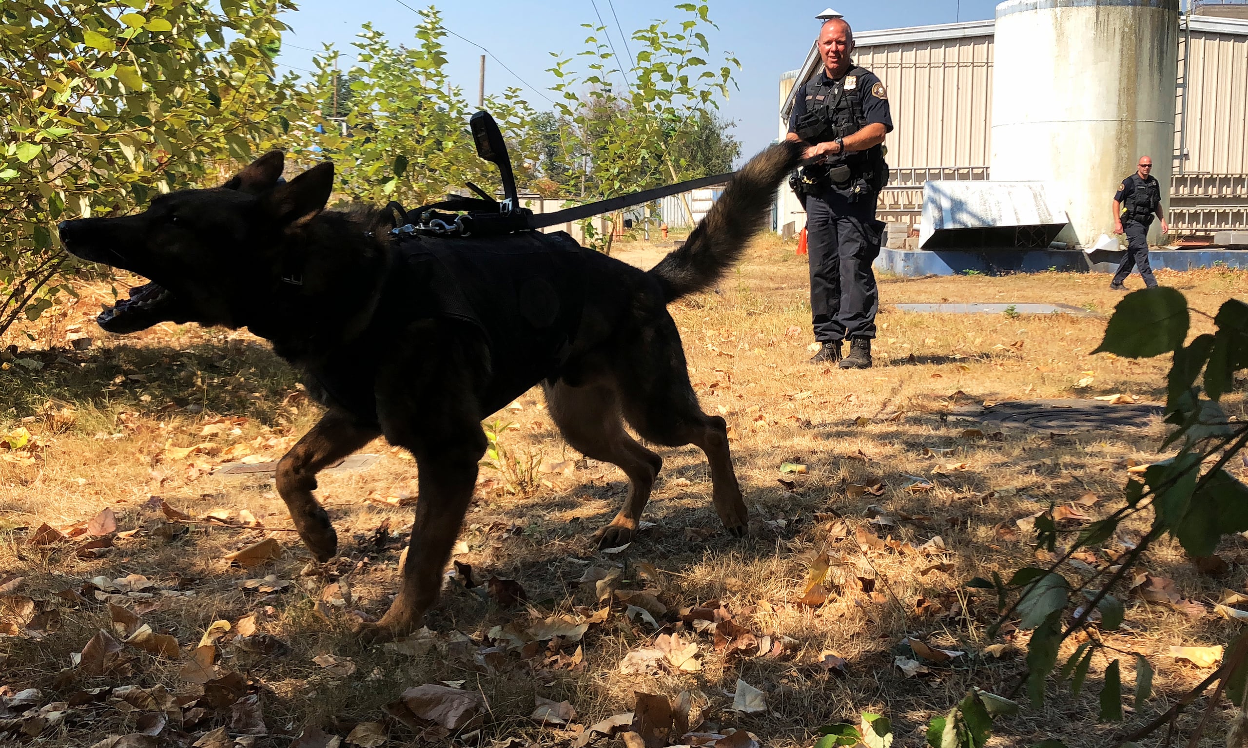 Un perro rastreador de cadáveres condujo a las autoridades a una tubería de drenaje que posteriormente fue inspeccionada con cámaras, donde se localizó otro cráneo.