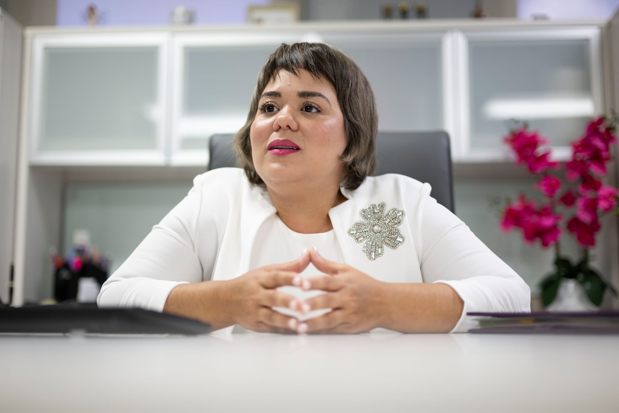 Astrid Piñeiro, Procuradora de las Mujeres