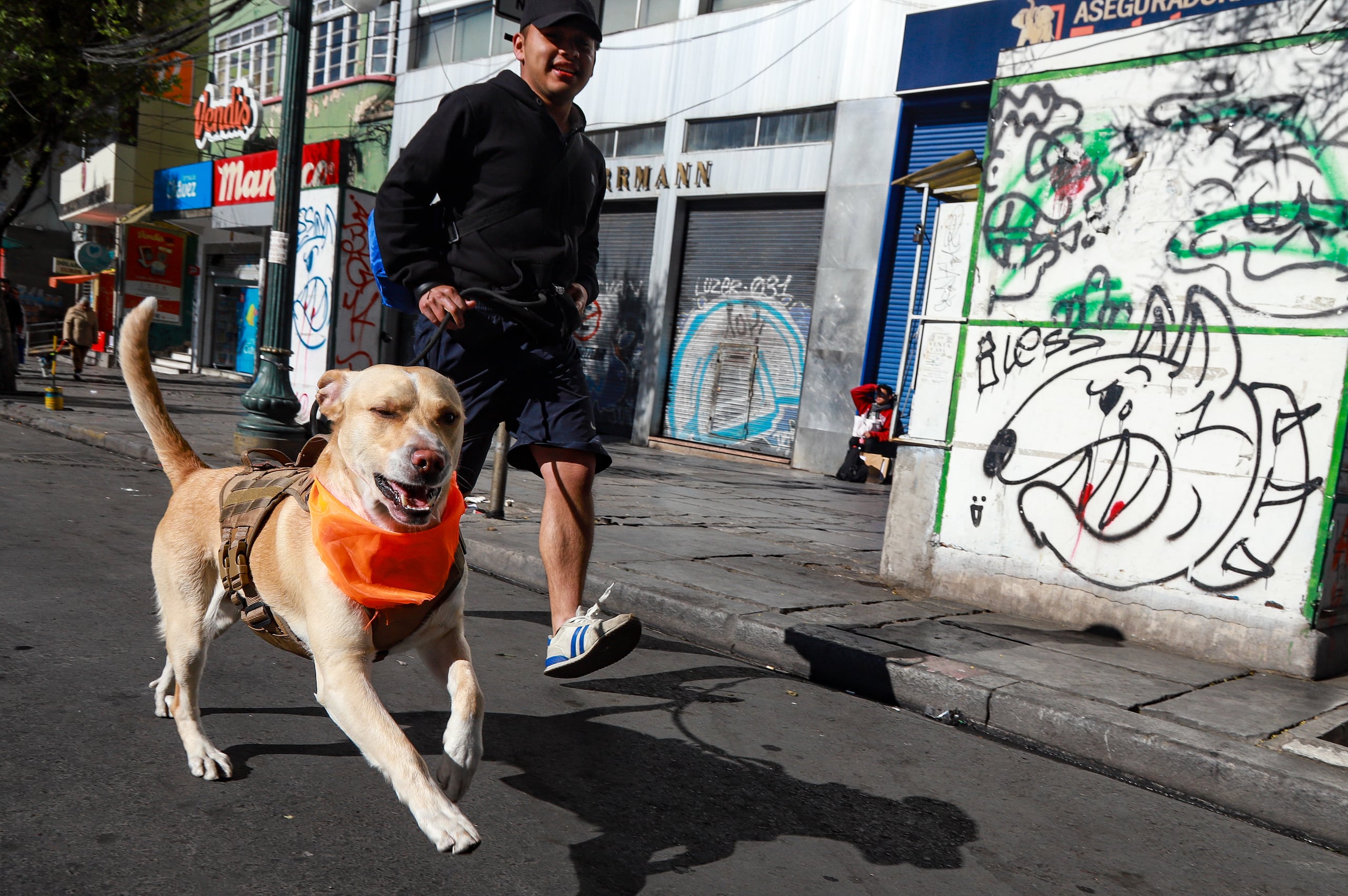 Unos 2.500 dueños de perros se inscribieron junto a sus animales para participar en la competencia que tuvo las categorías de canes grandes, medianos y pequeños.