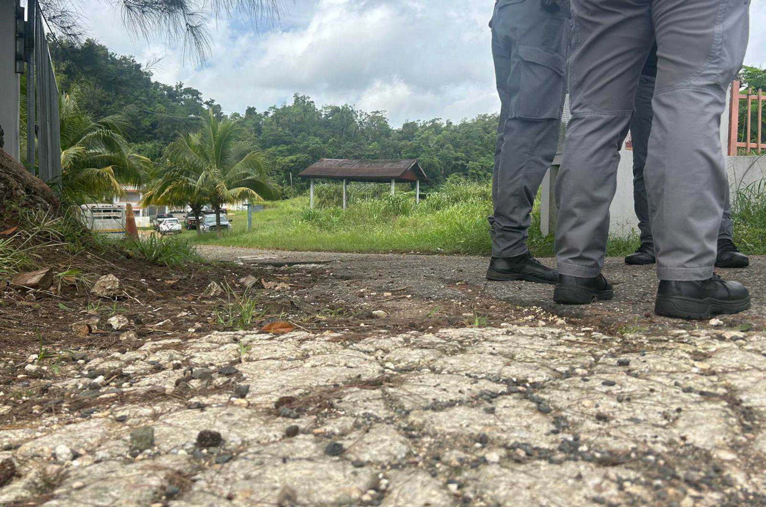 Vista del Centro de Control y Albergue de Animales Capitán Correa en Arecibo esta mañana.