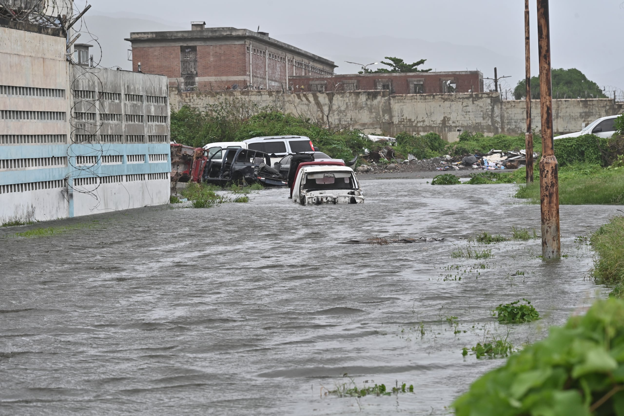 Debido a toda el agua estancada por las inundaciones.