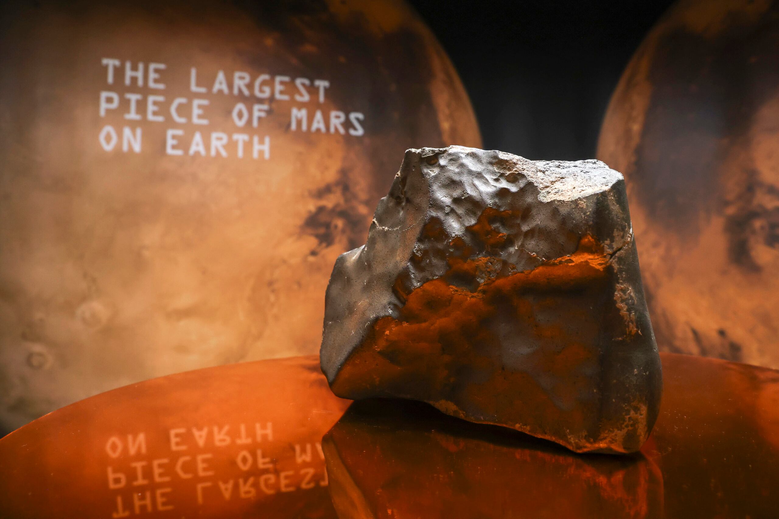 Según un comunicado emitido por el consejo de ministros el 18 de julio, el Ejecutivo creó un comité para “llevar a cabo investigaciones y esclarecer este caso, que presenta todas las características de un posible tráfico internacional ilícito”.